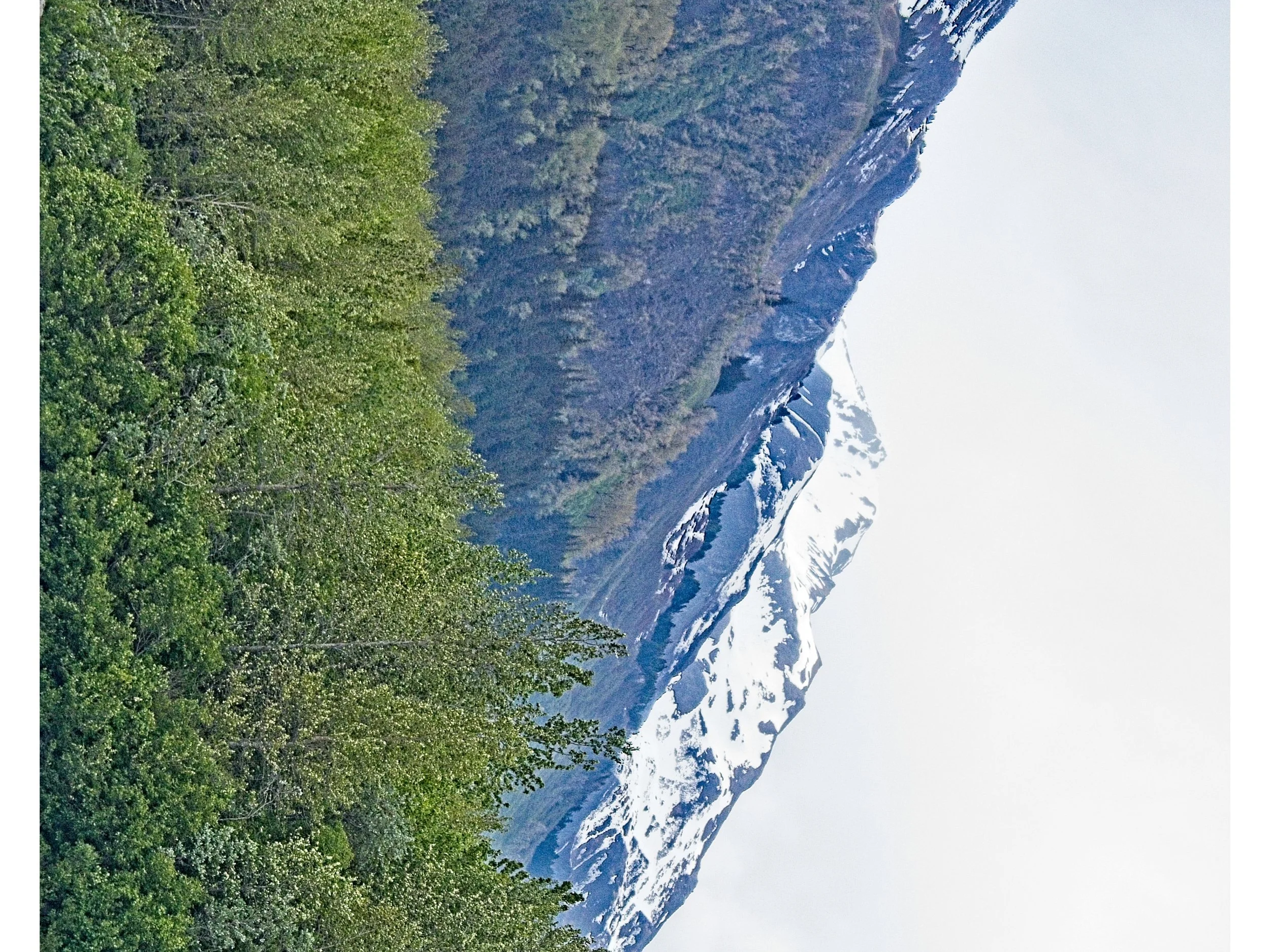 P1080849.jpg