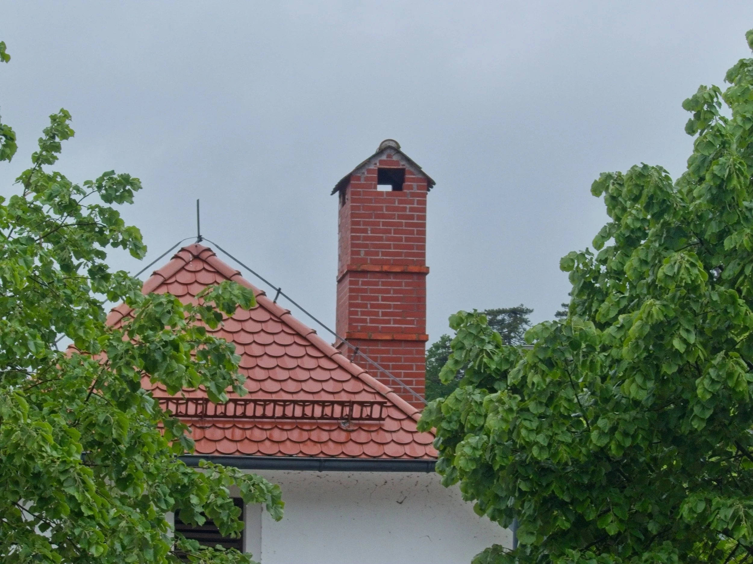 P1090969.jpg