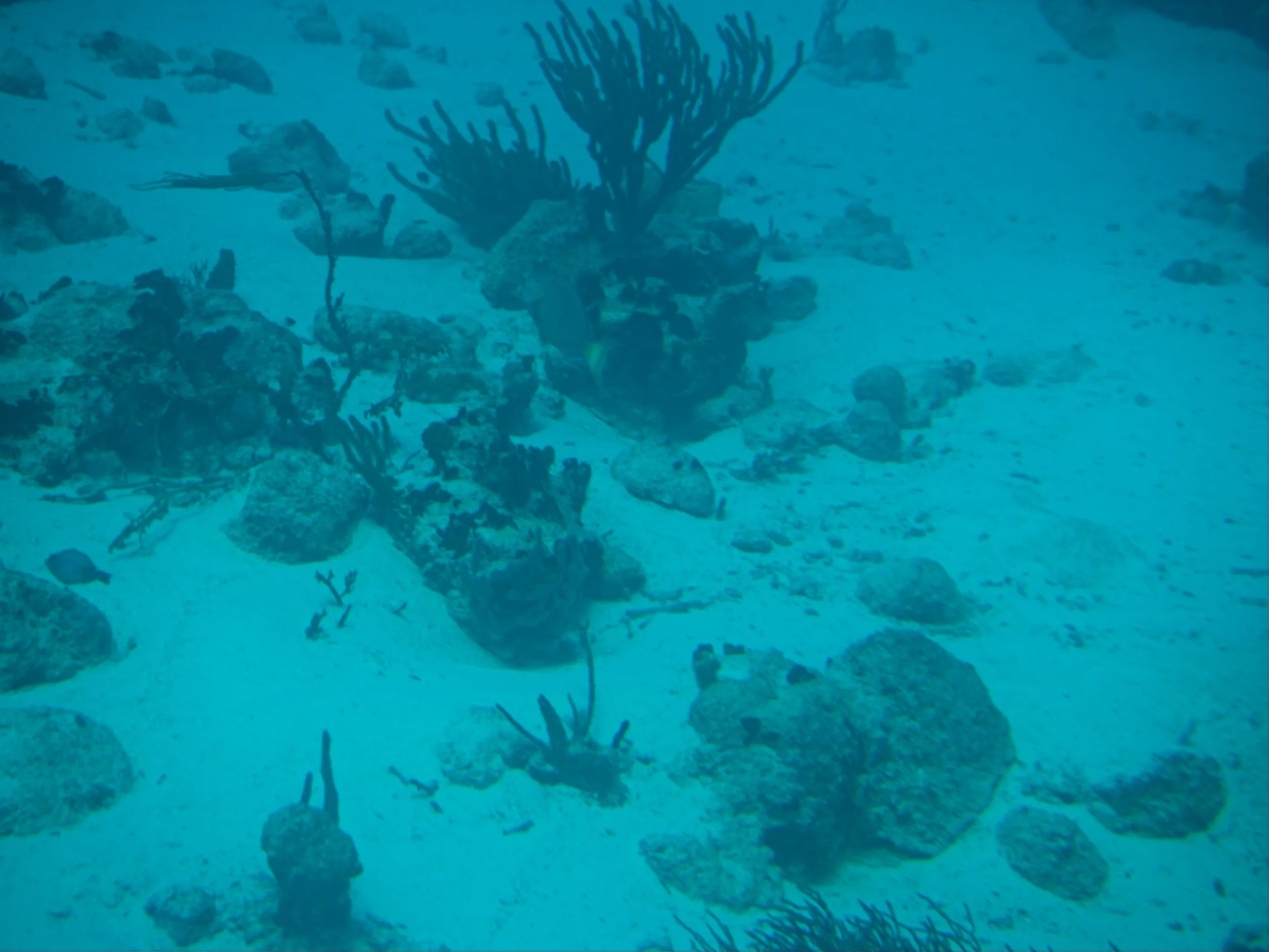 PC140026.jpg