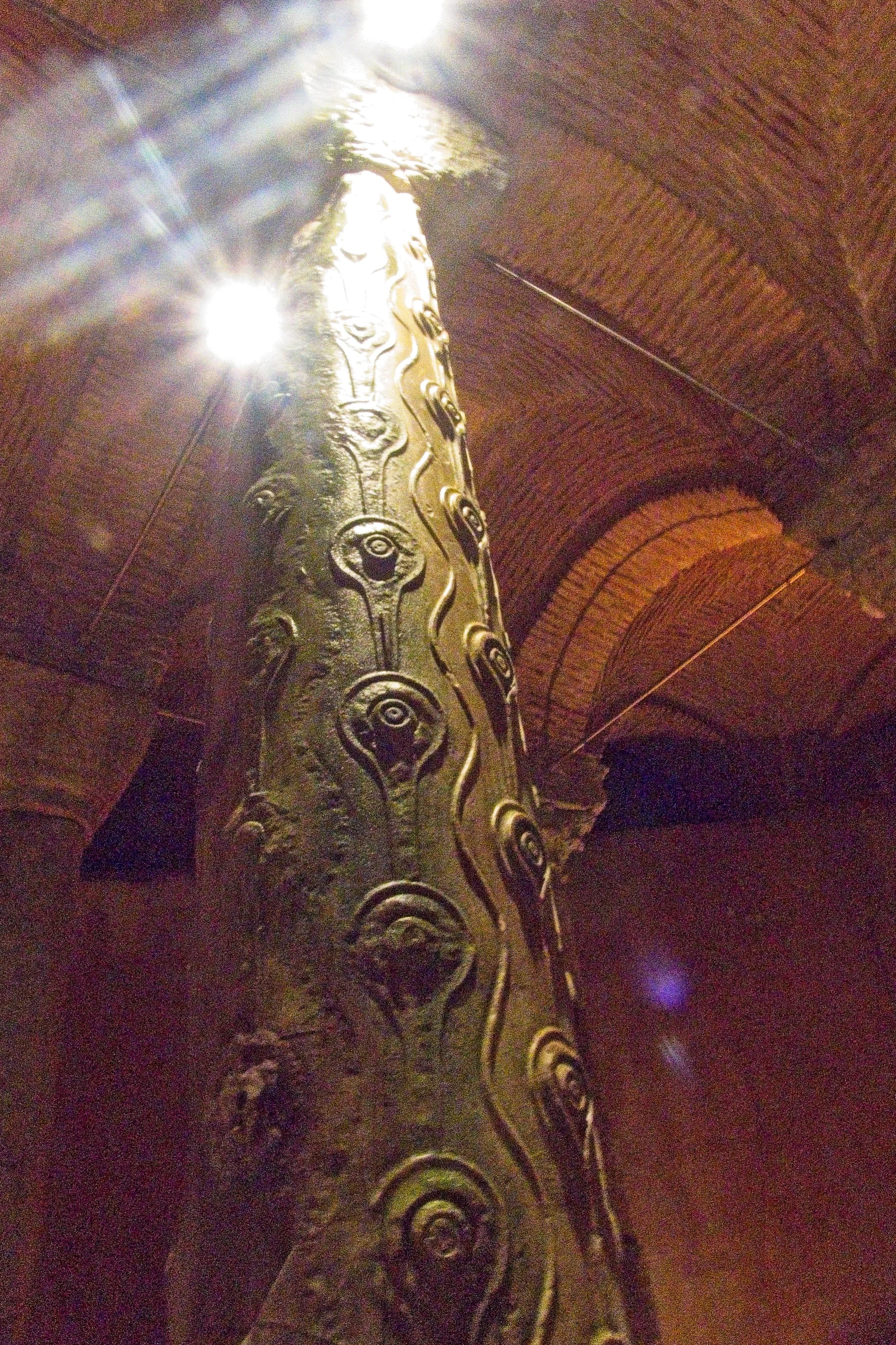 P1100535.jpg