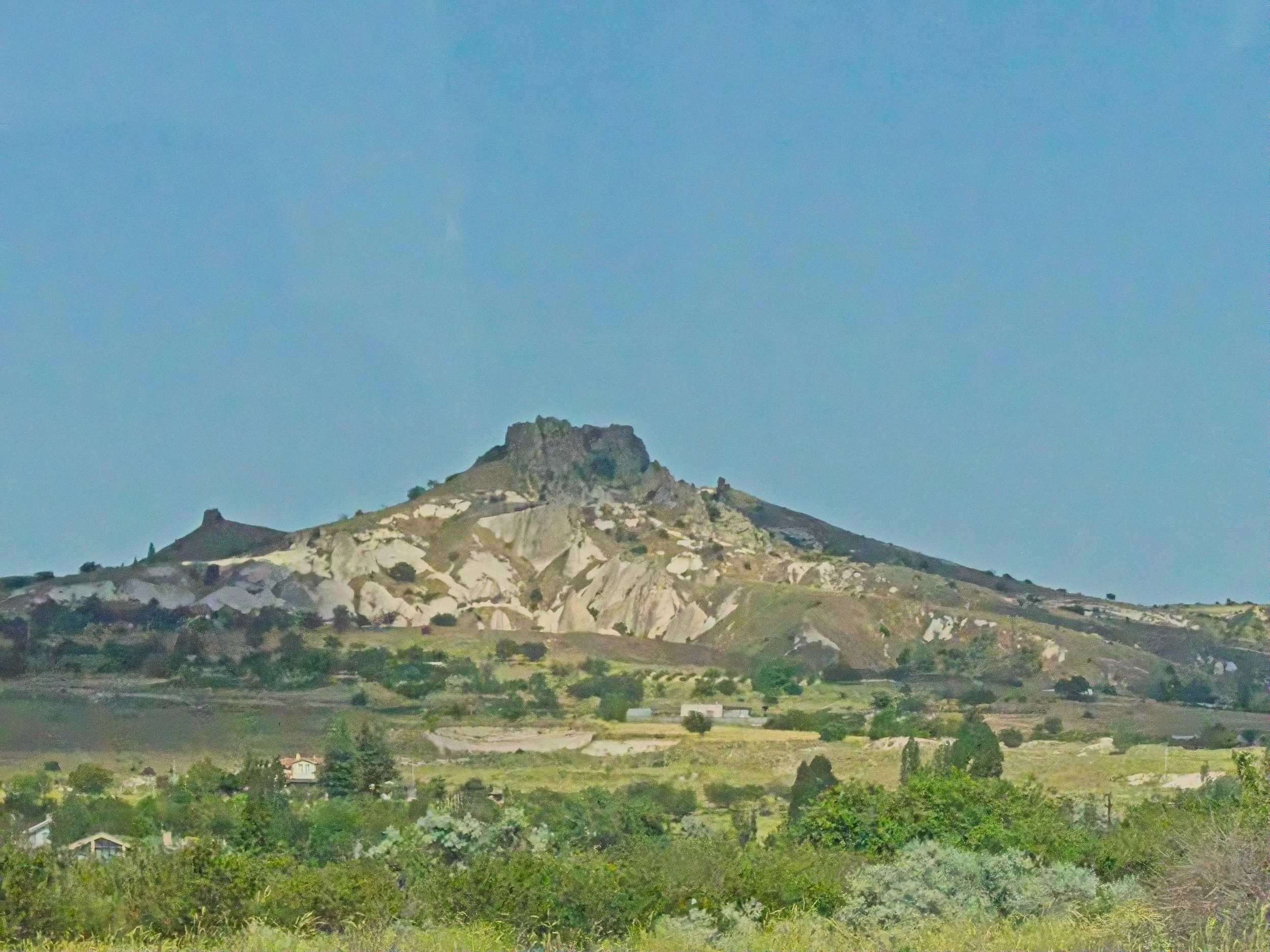 P1110284.jpg