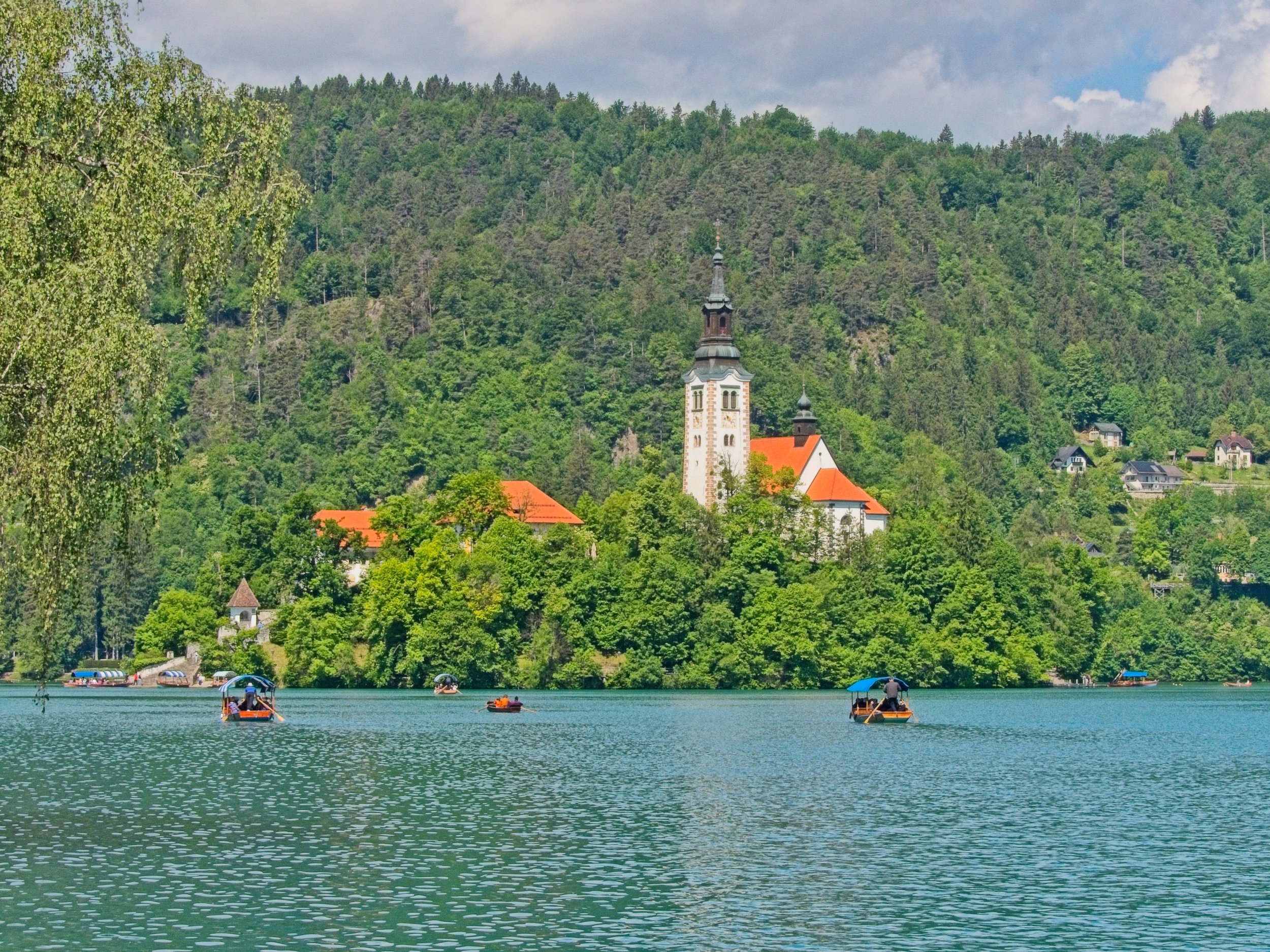 P1100300.jpg