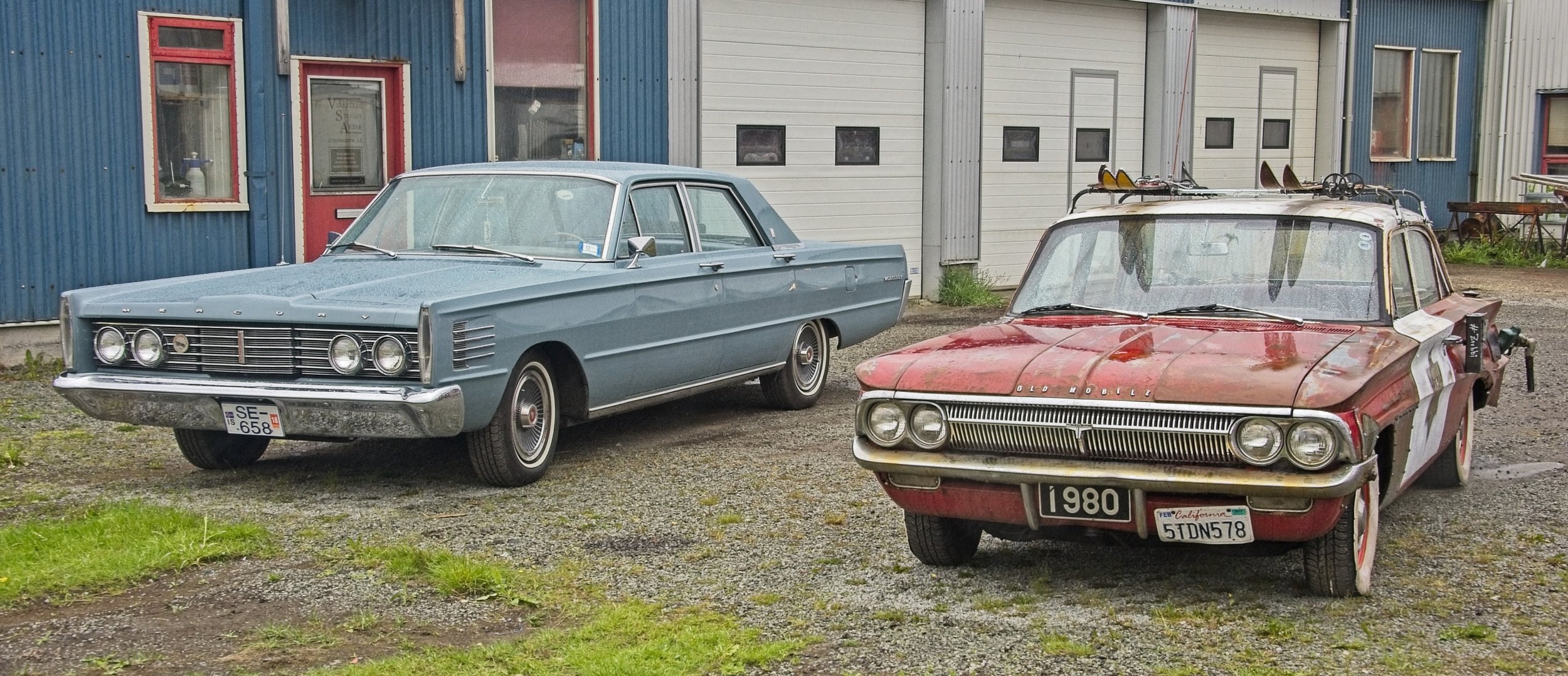 DSC_0504.jpg