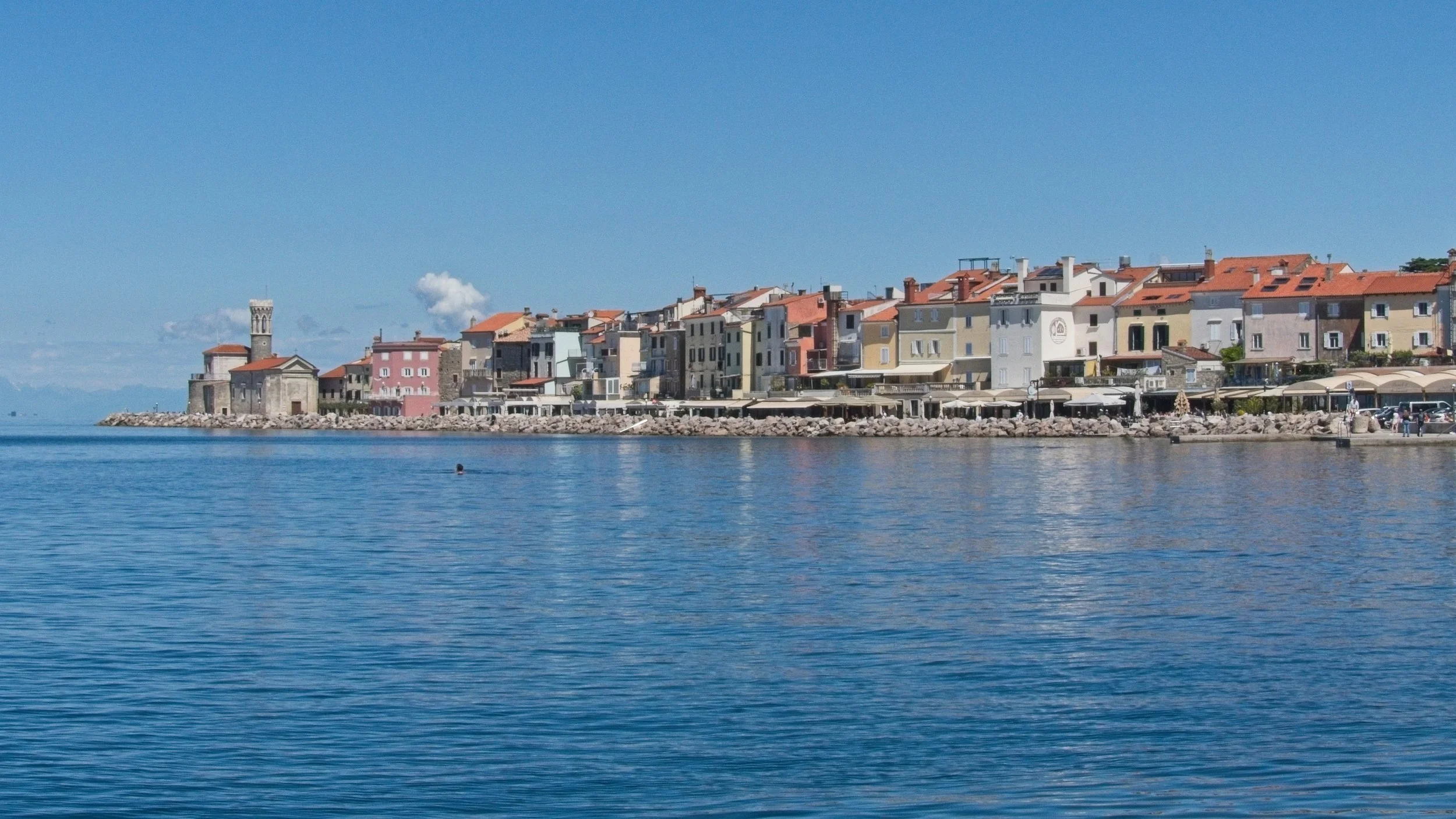 P1100255.jpg