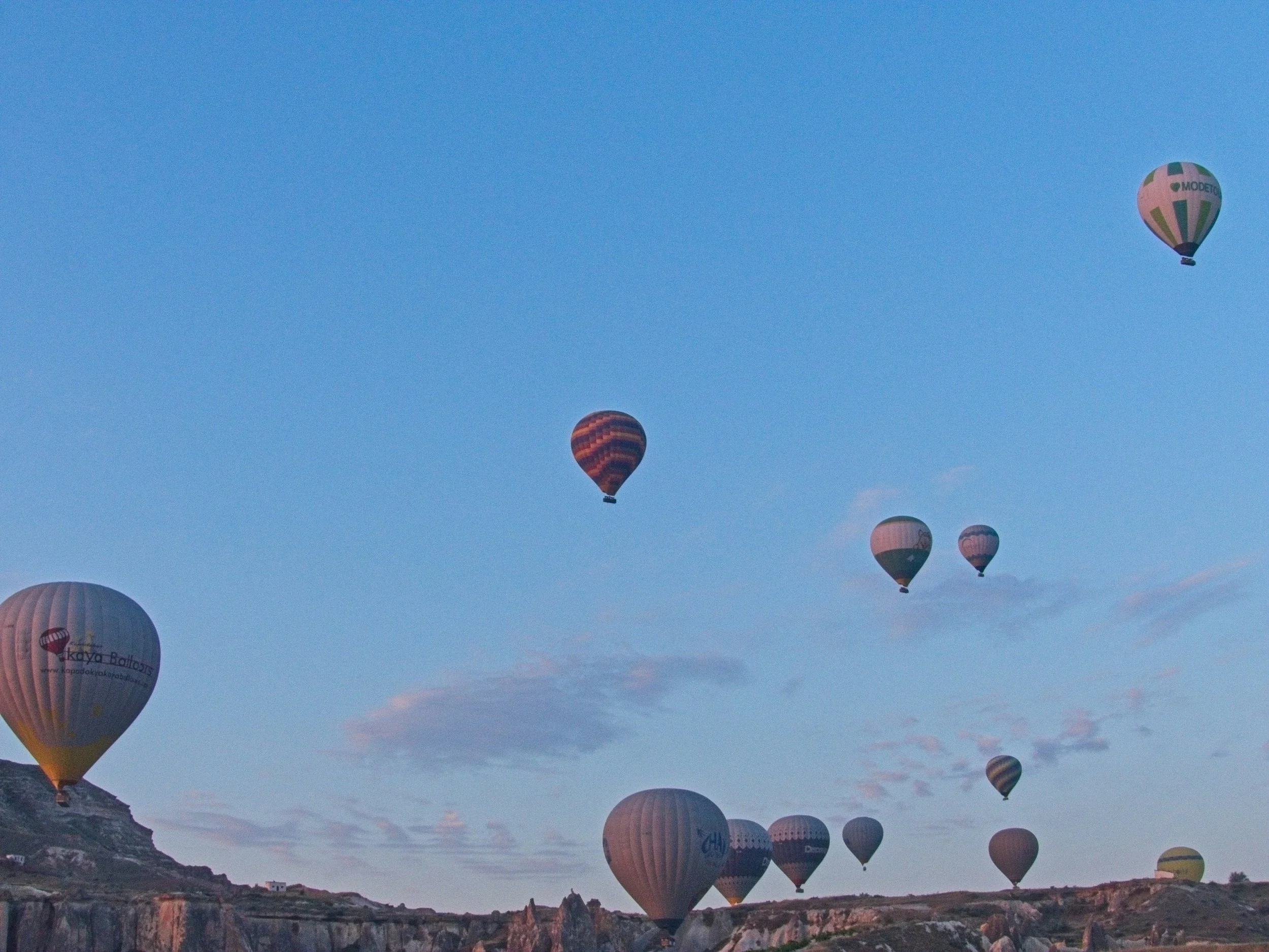 P1110361.jpg