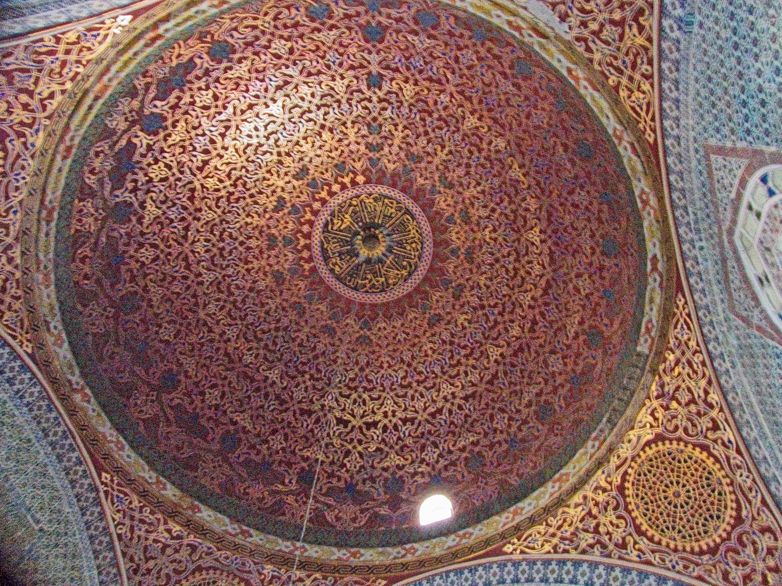 P1100712.jpg