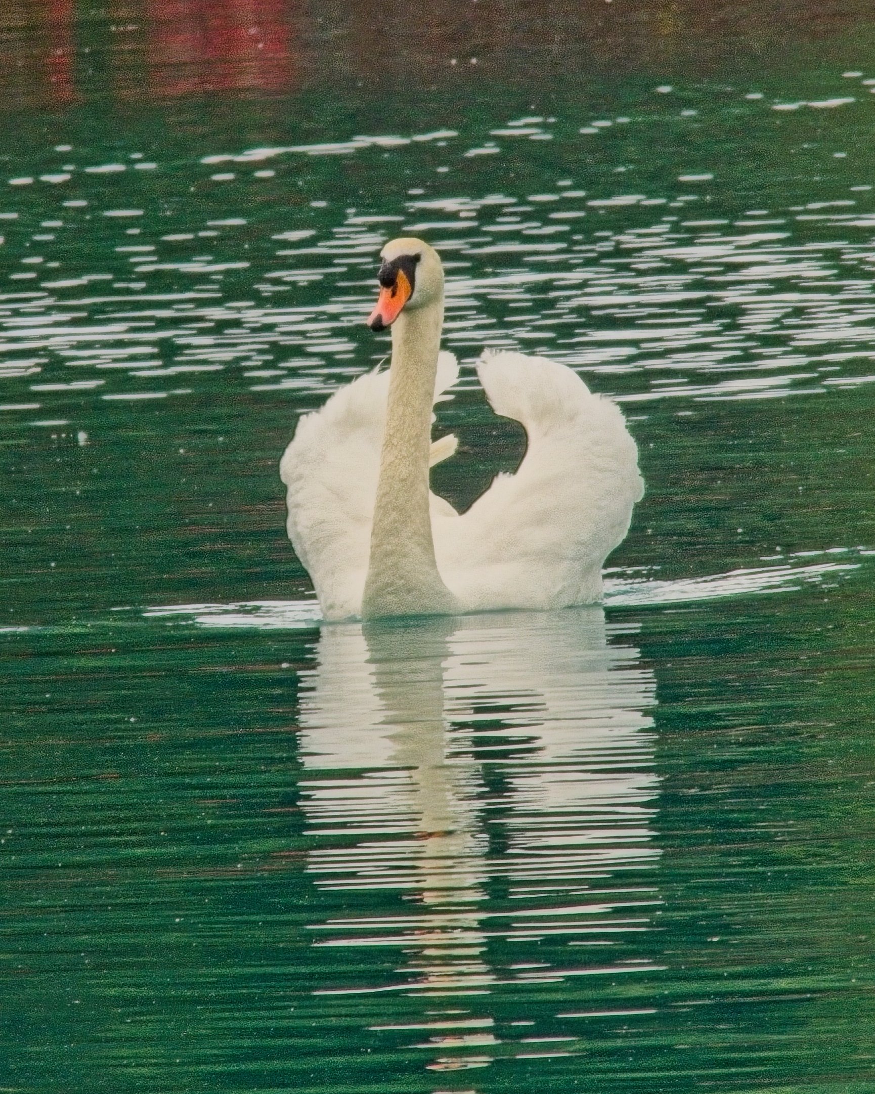 P1100345.jpg
