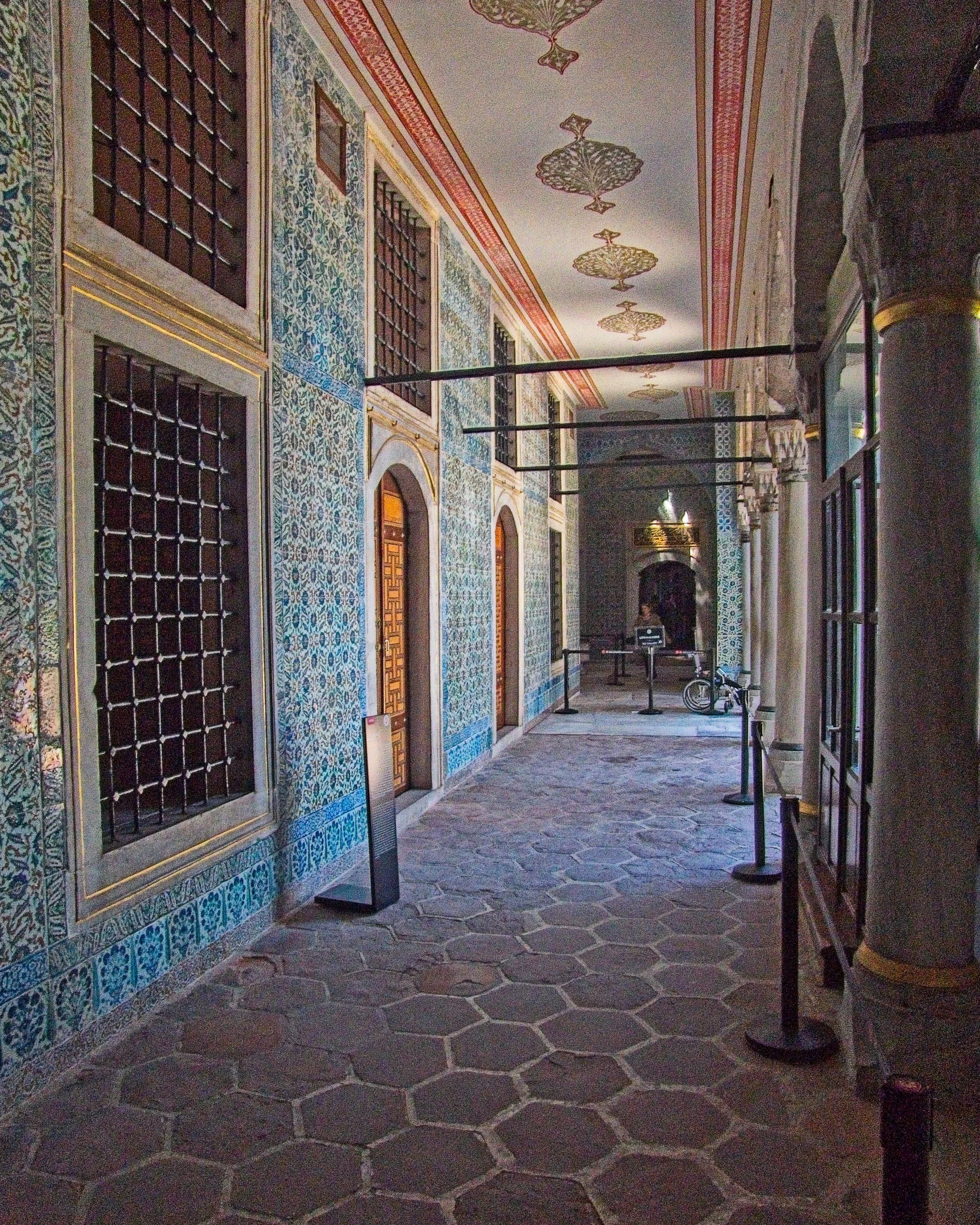 P1100722.jpg