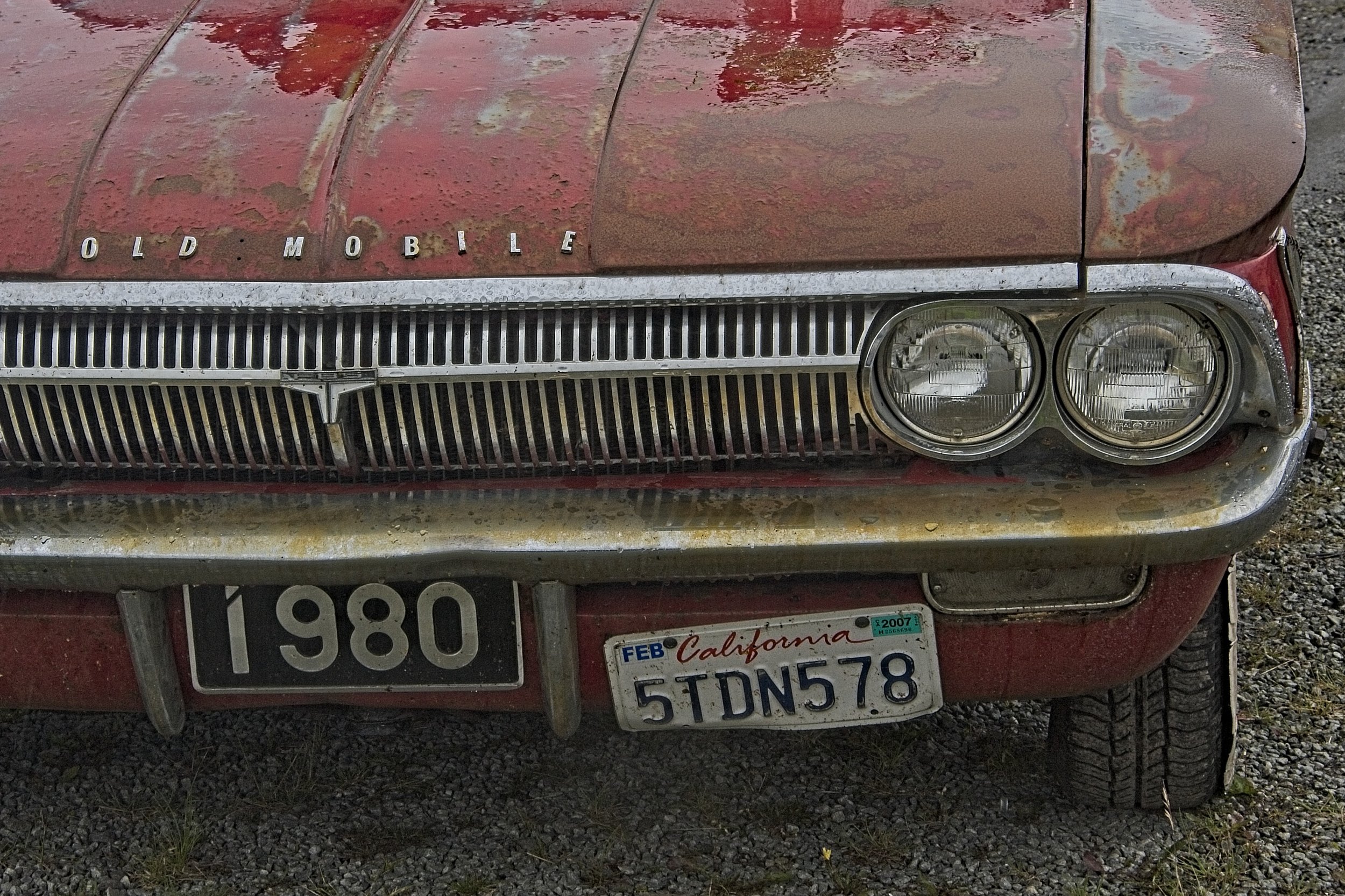 DSC_0547.jpg