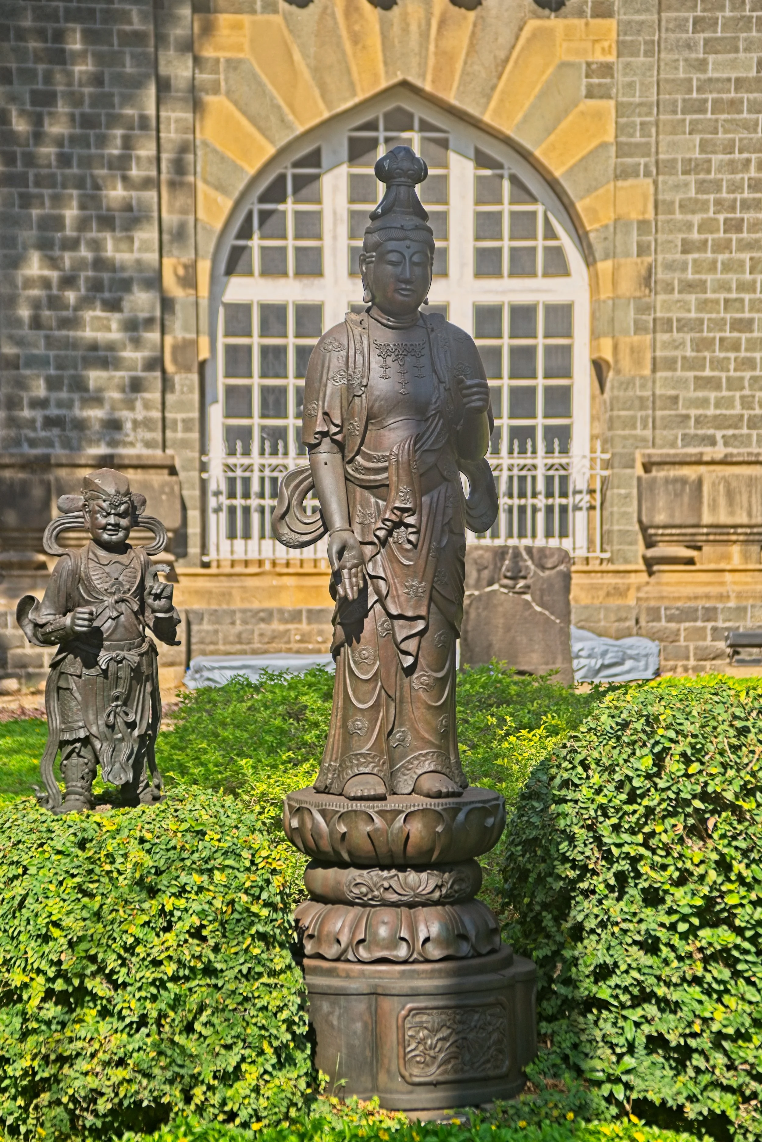DSC_9656.jpg