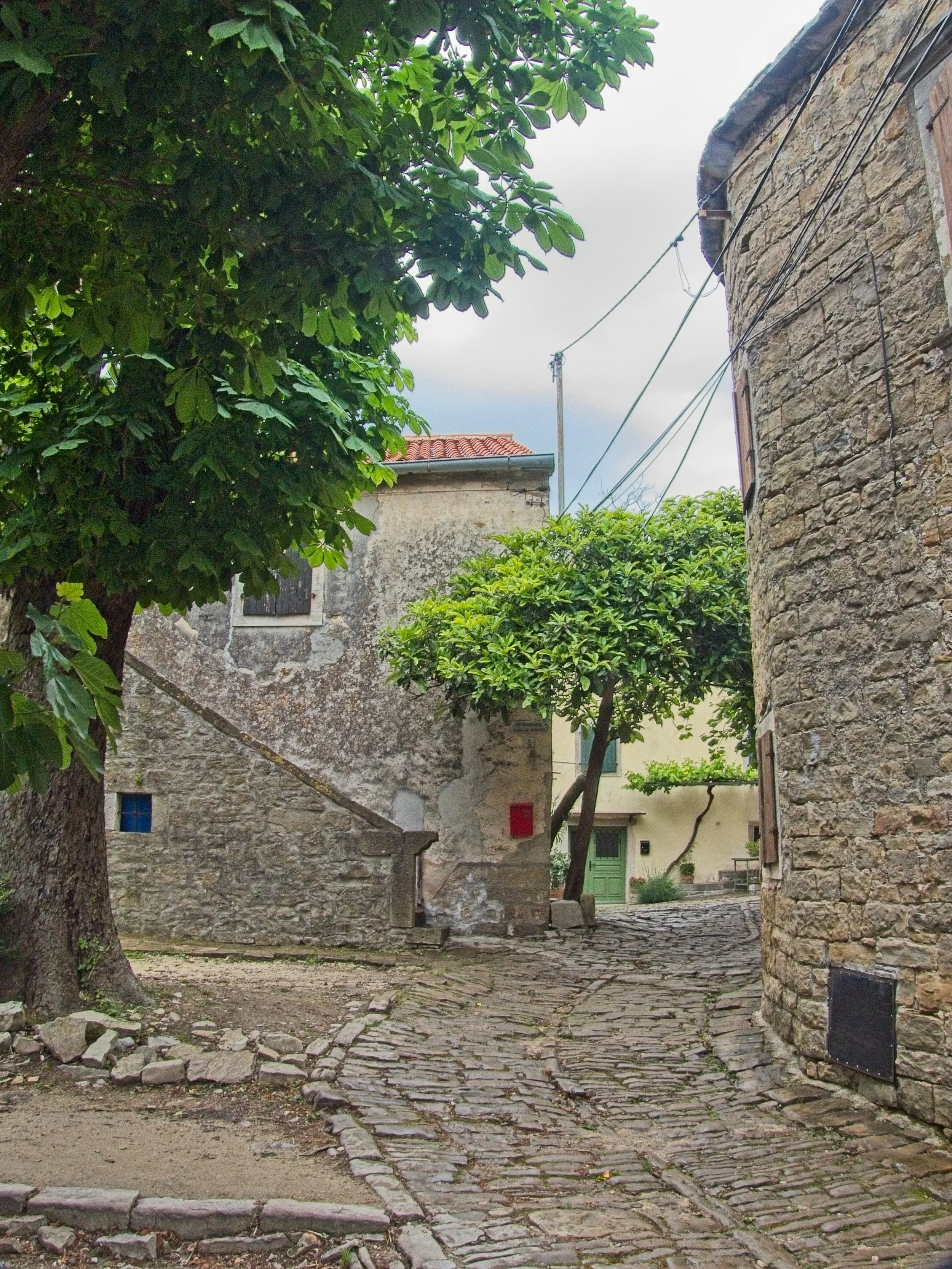 P1100139.jpg