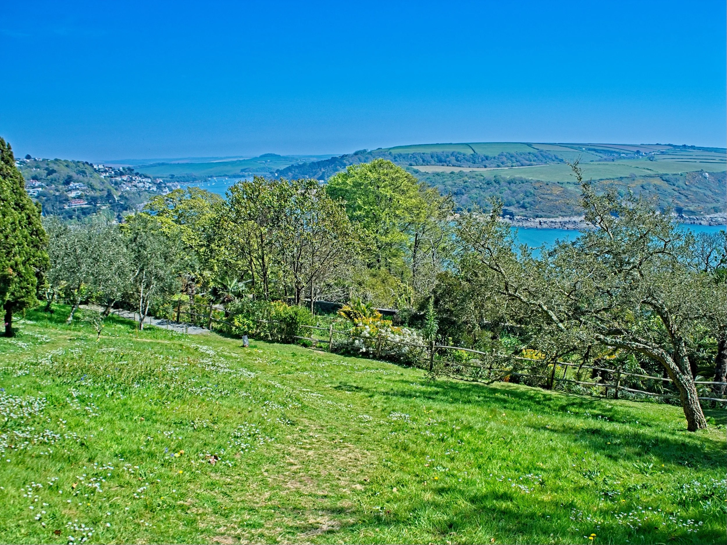 P4290009.jpg