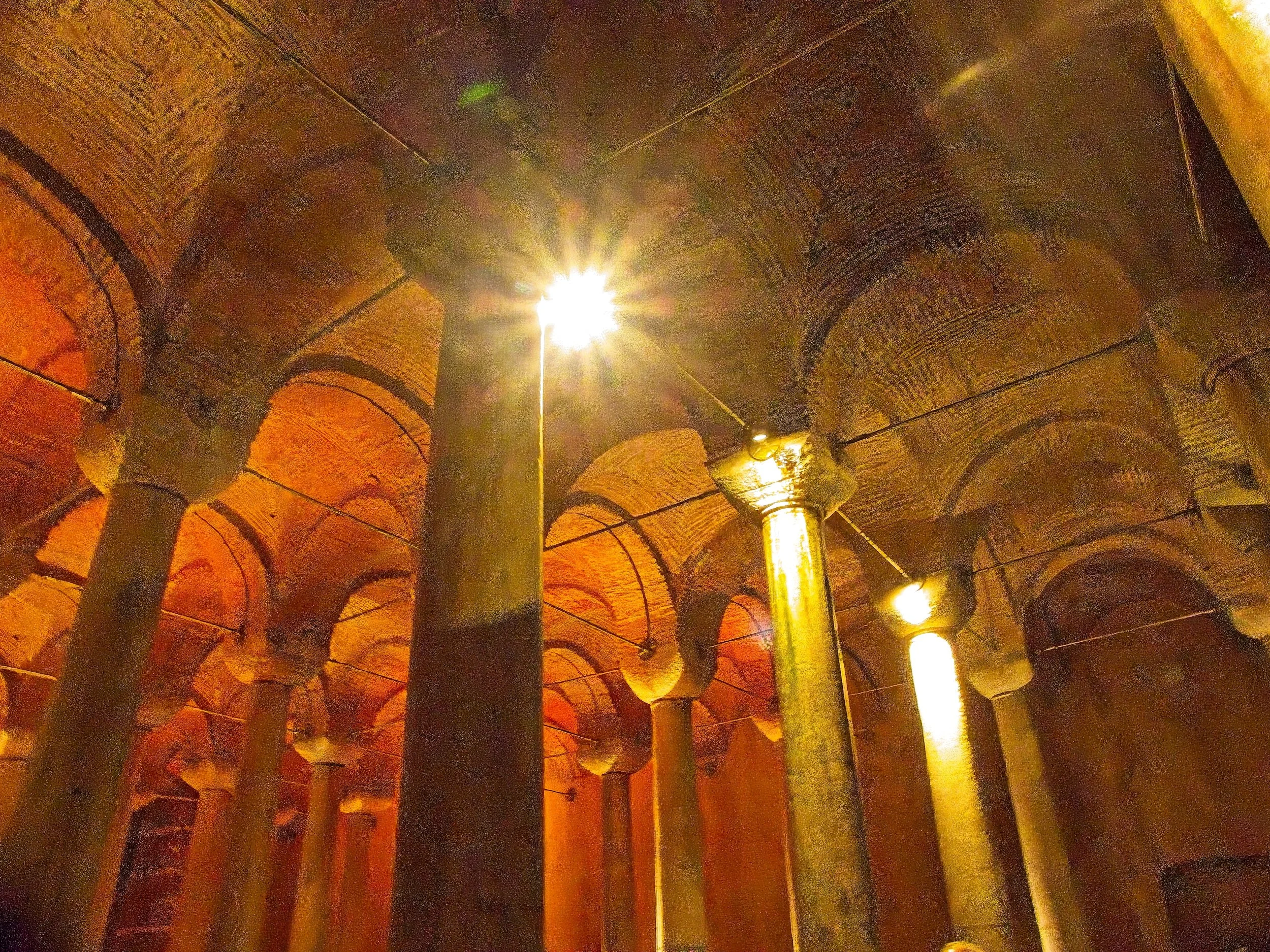 P1100518.jpg