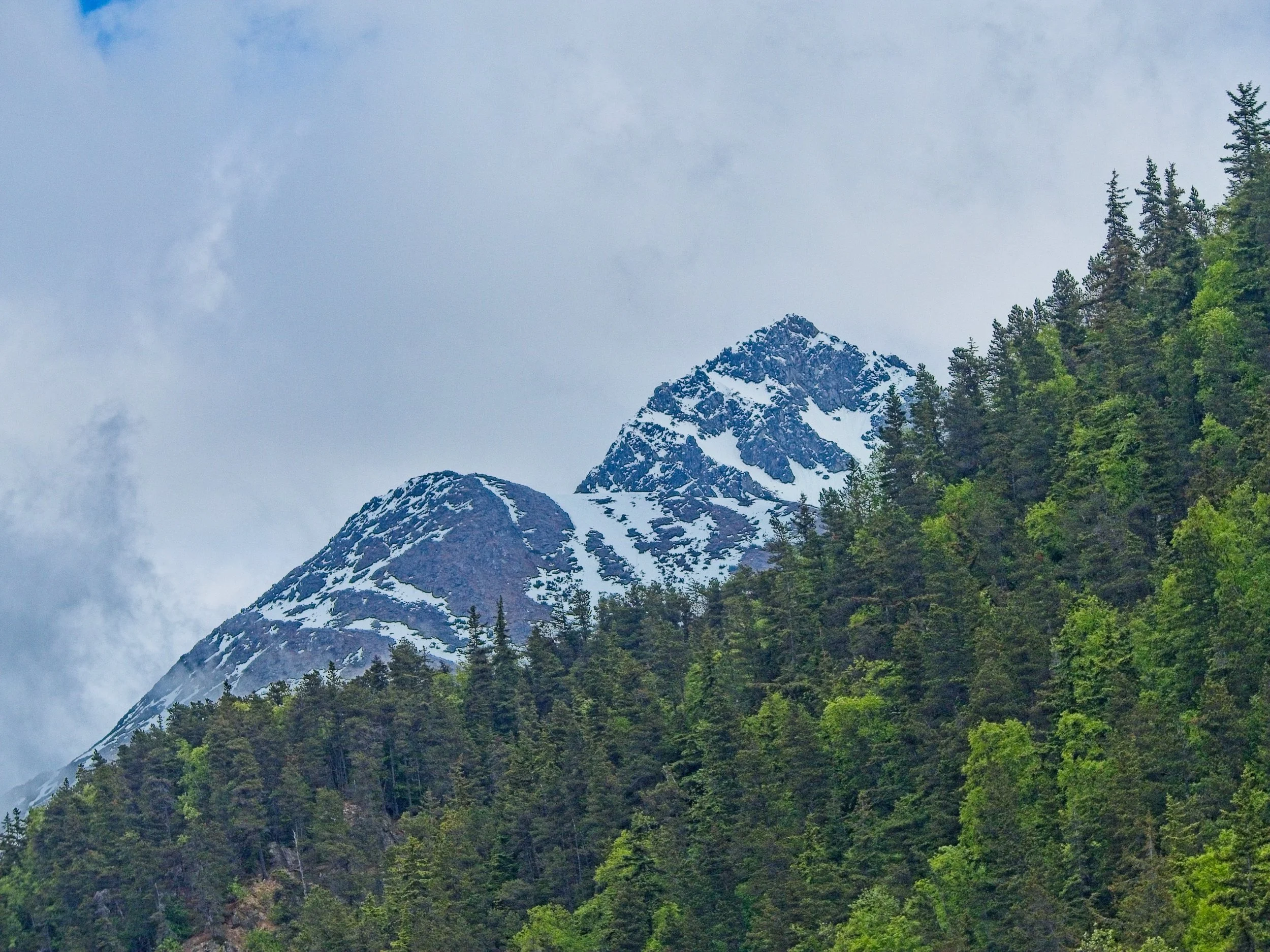 P1080797.jpg