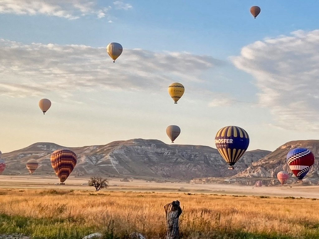 93D8297B-8551-4175-A794-F05F1A2619FB_1_105_c.jpg