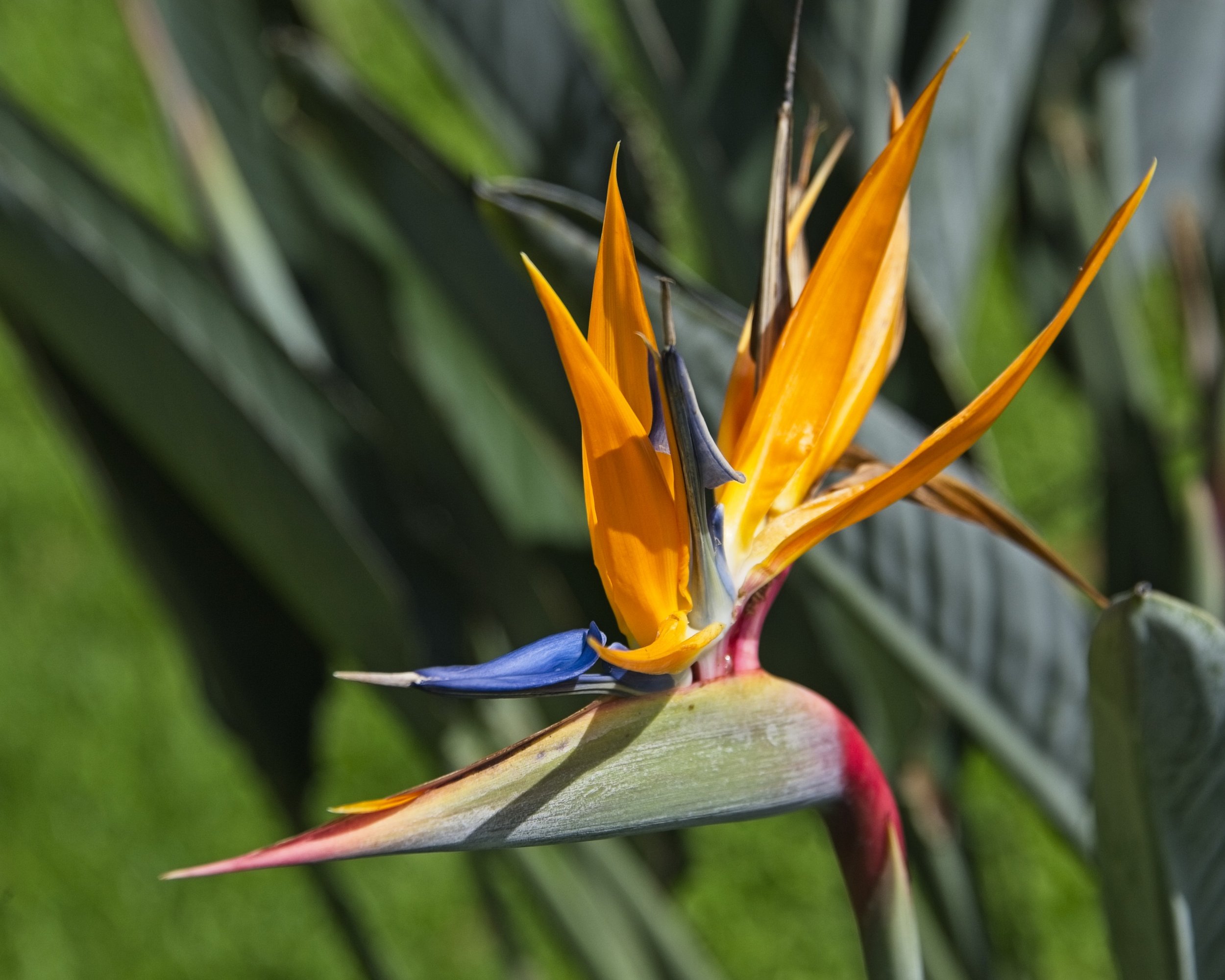 DSC_7875.jpg