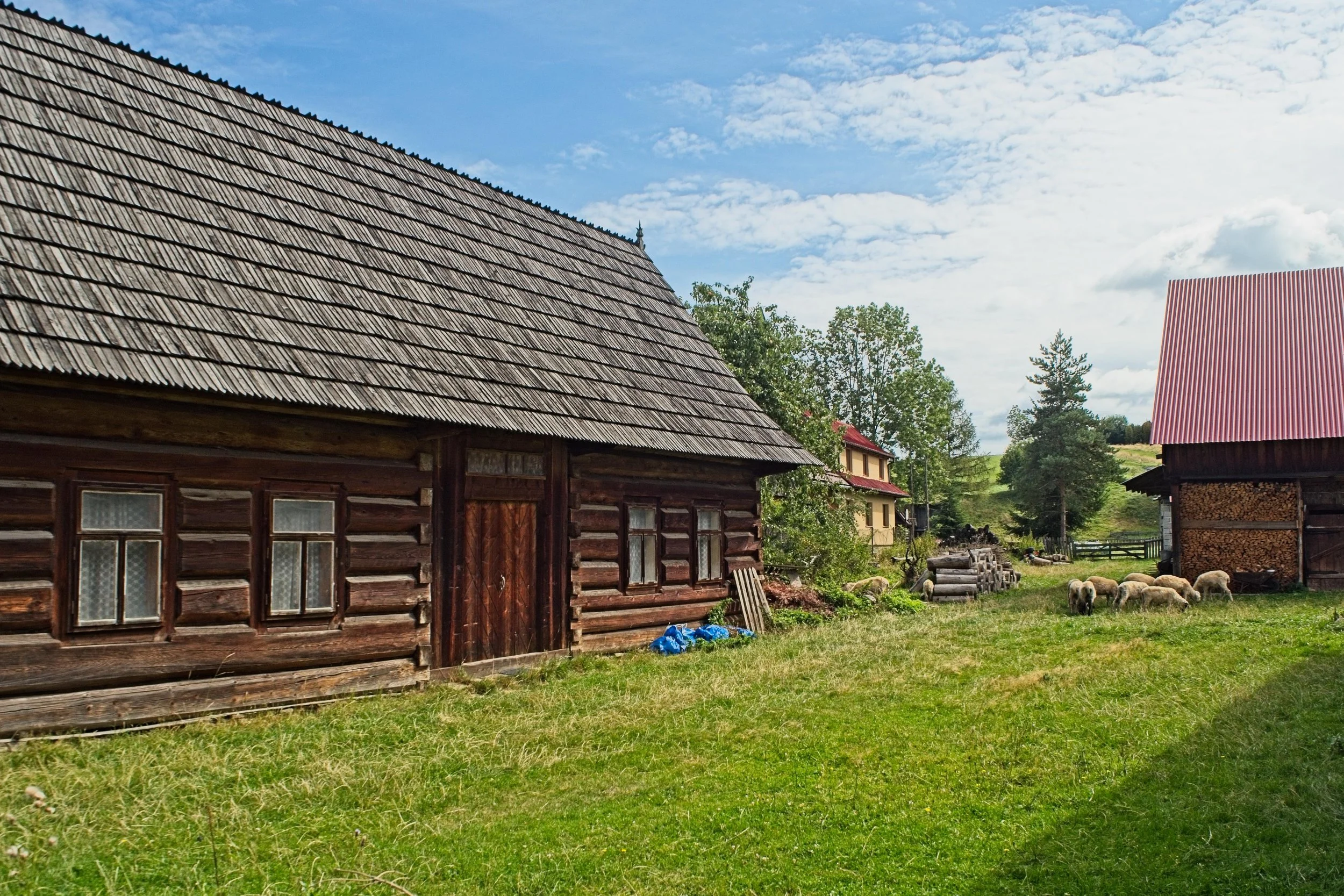 P9040333.jpg