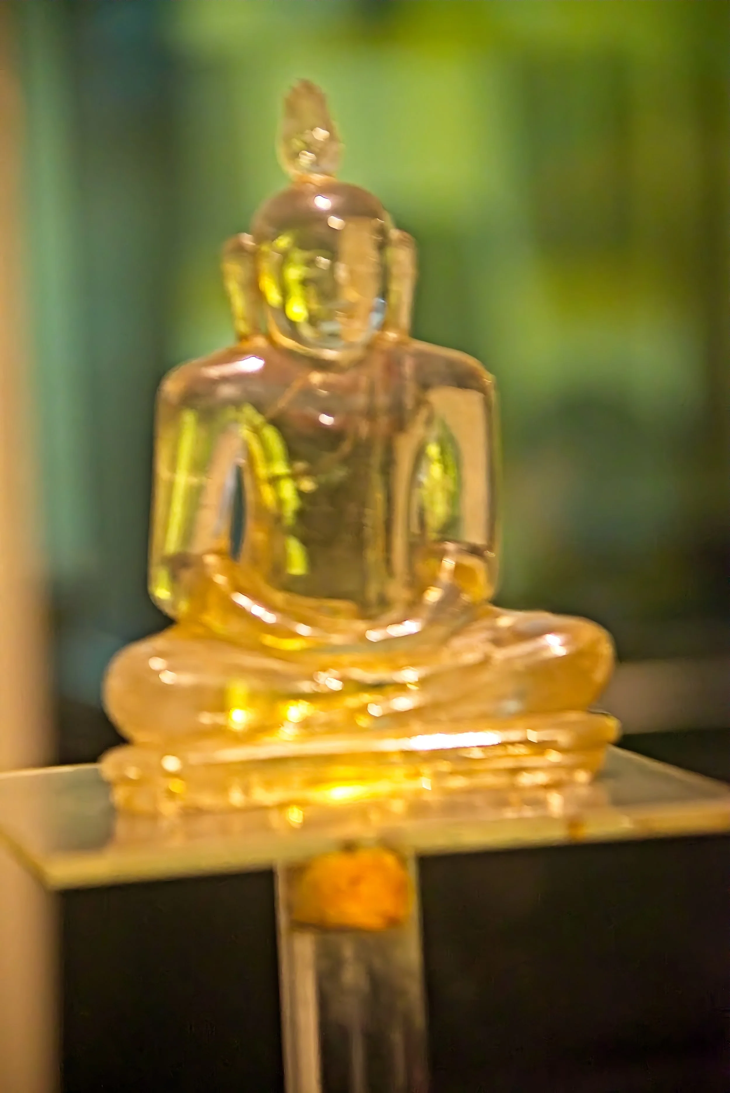 DSC_0116.jpg