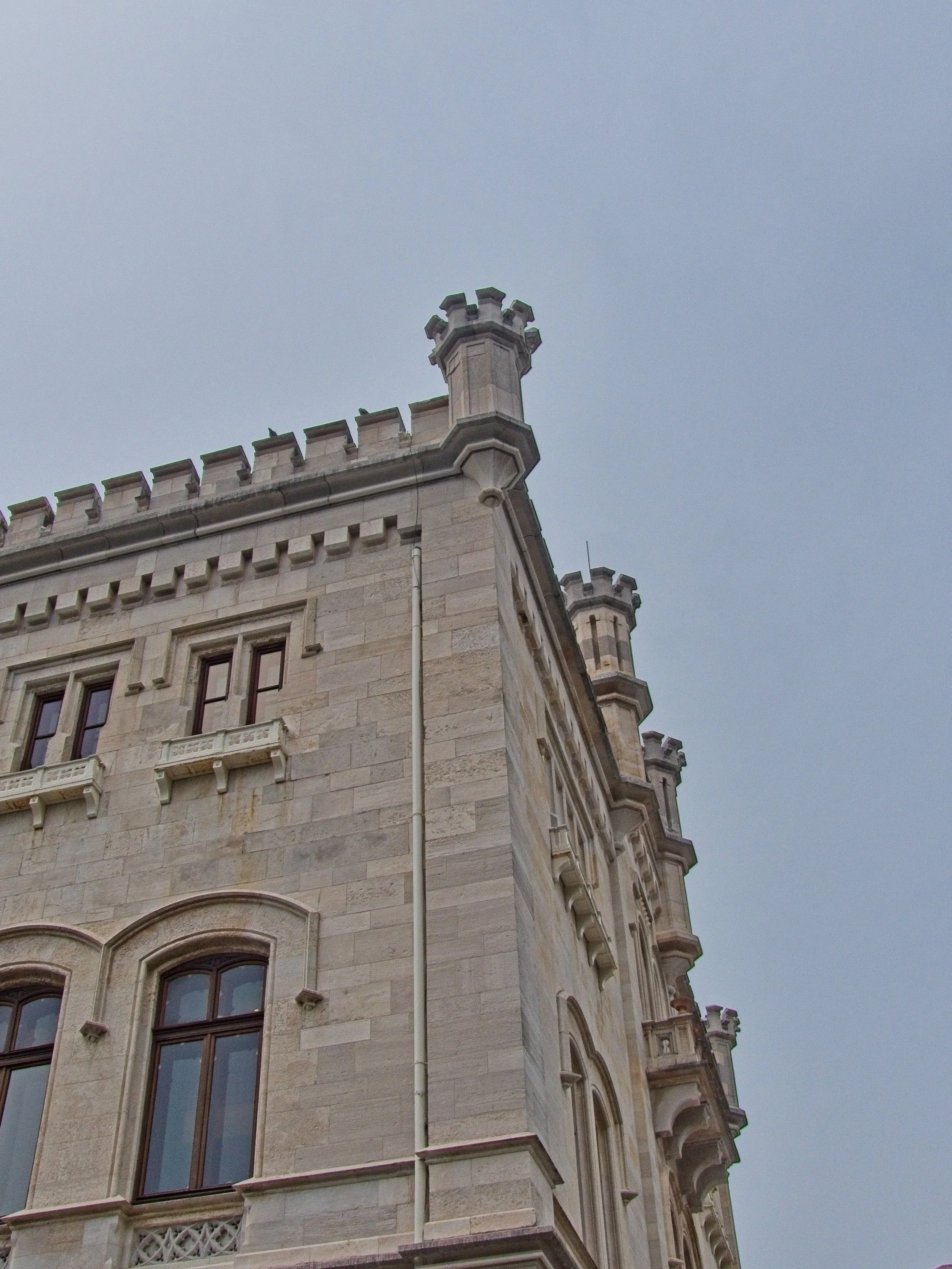 P1100217.jpg