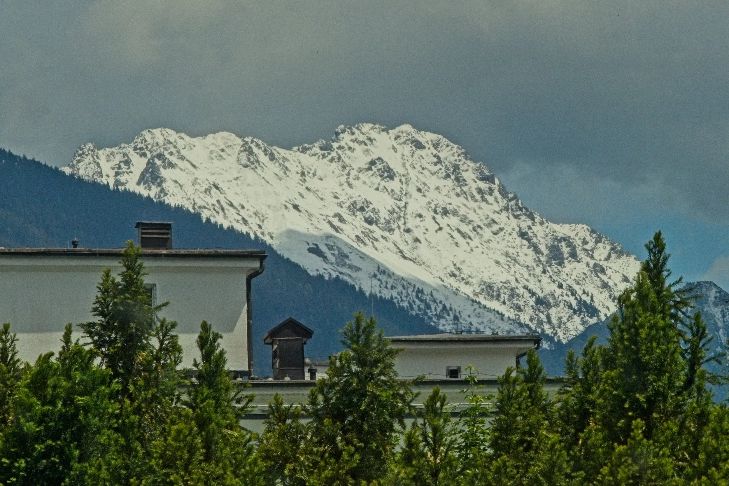 P1100336.jpg