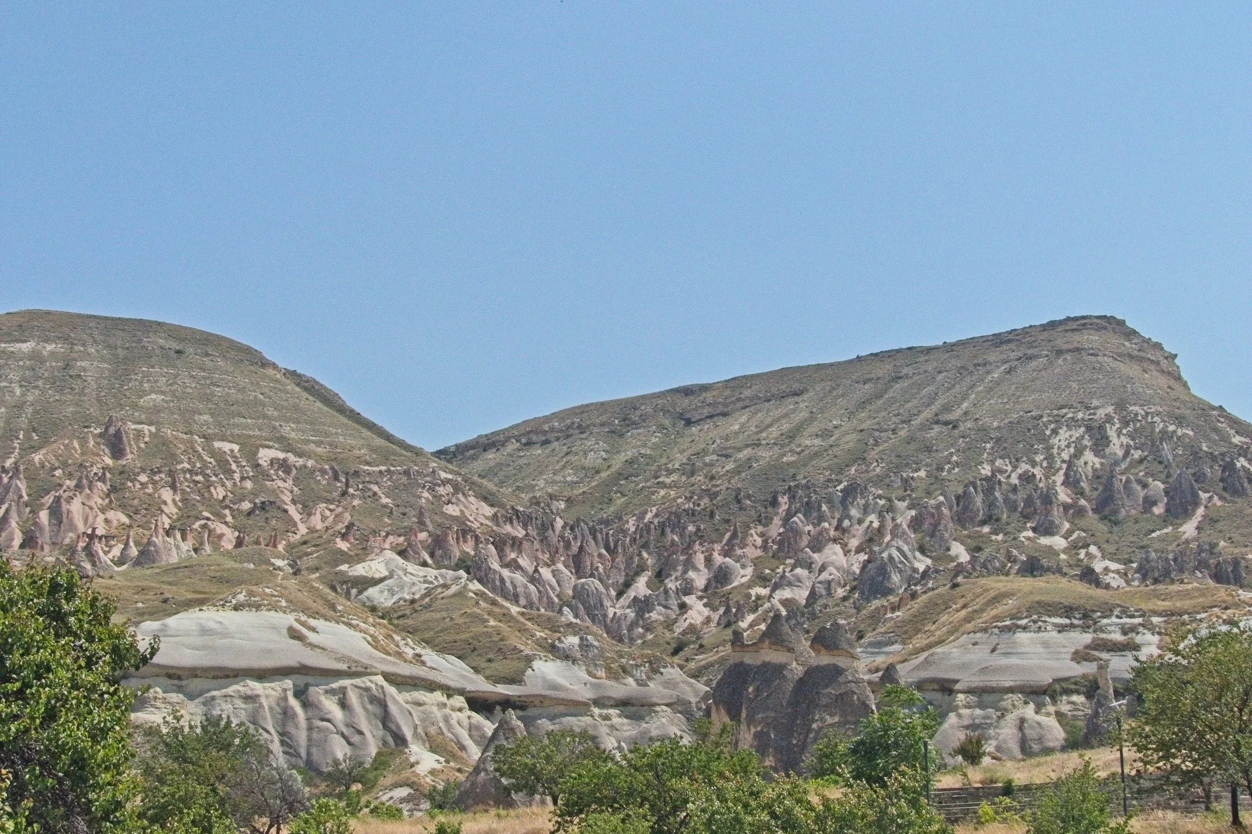 P1110462.jpg