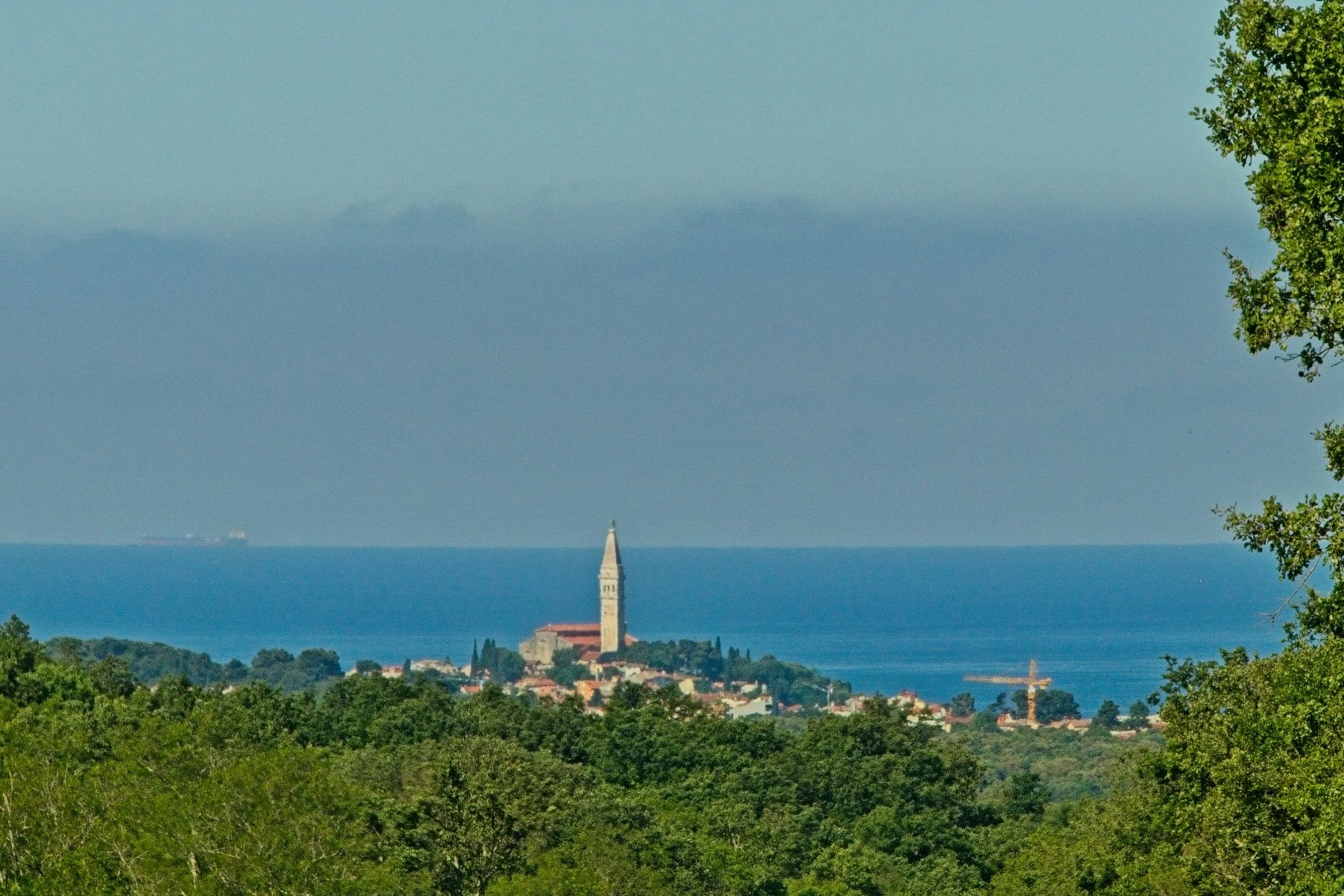 P1100355.jpg