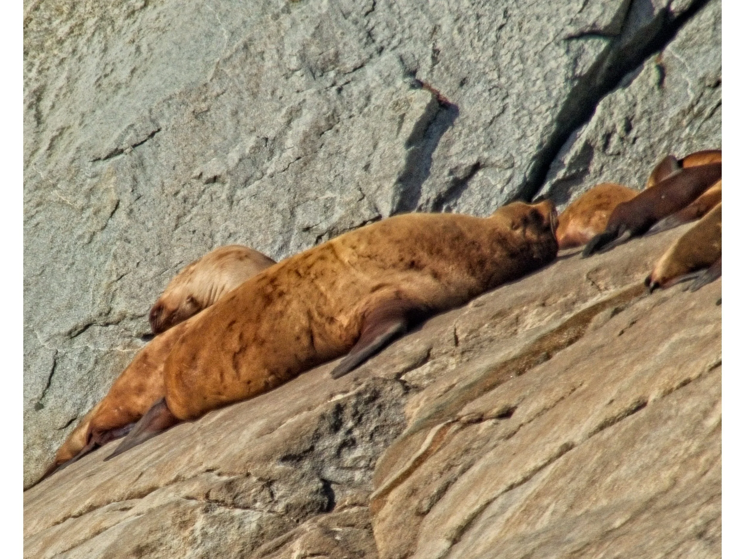 P1090015.jpg