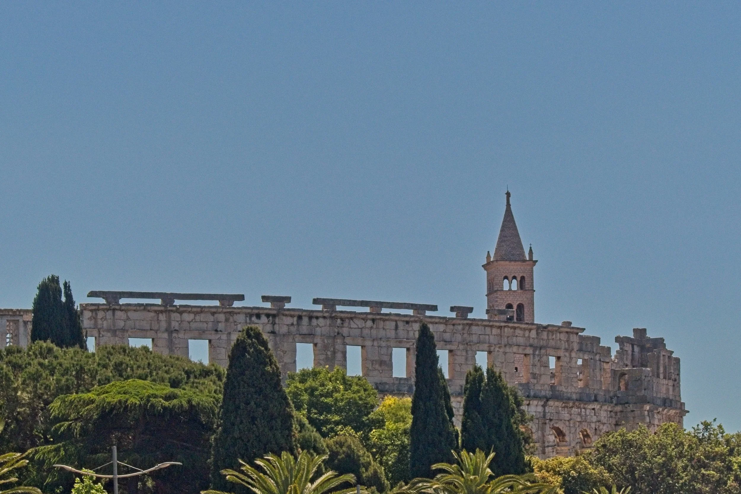 P1100427.jpg