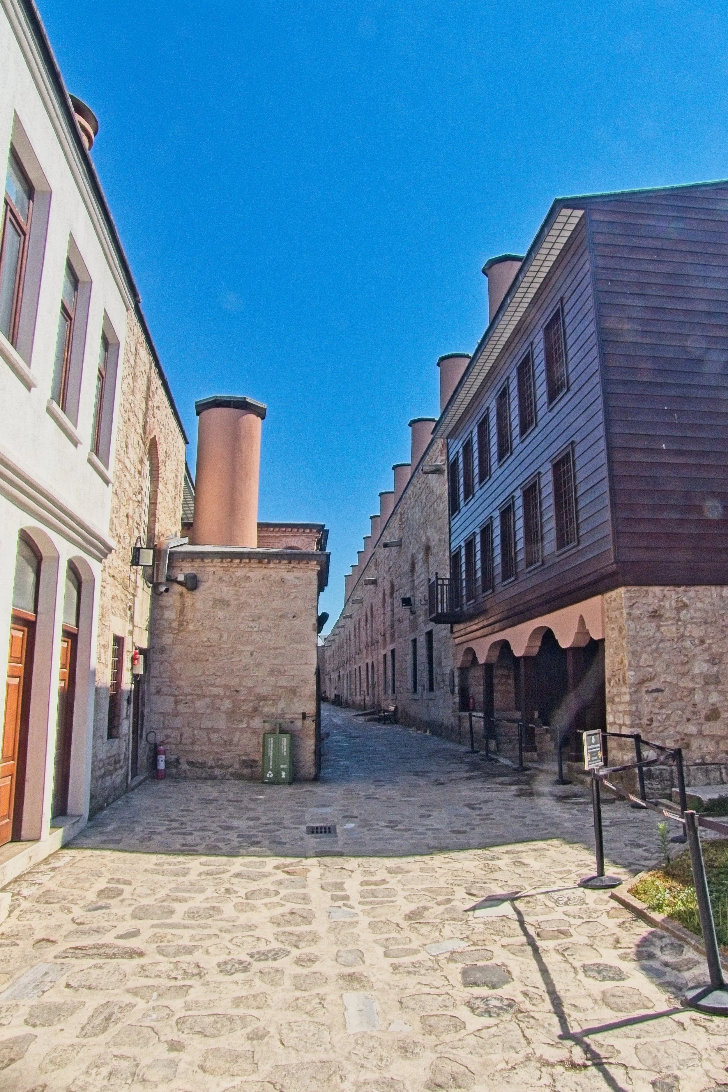 P1100627.jpg