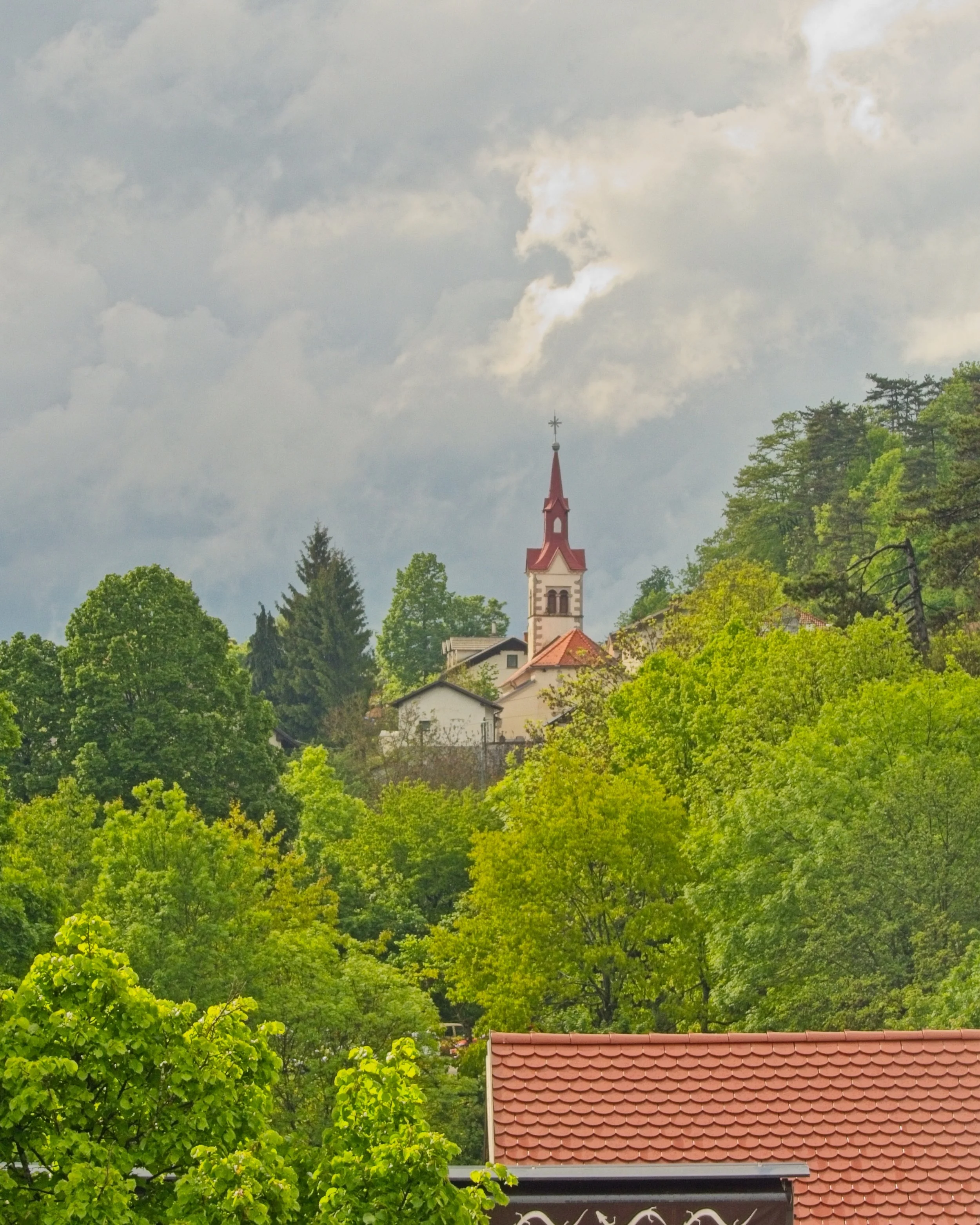 P1100056.jpg