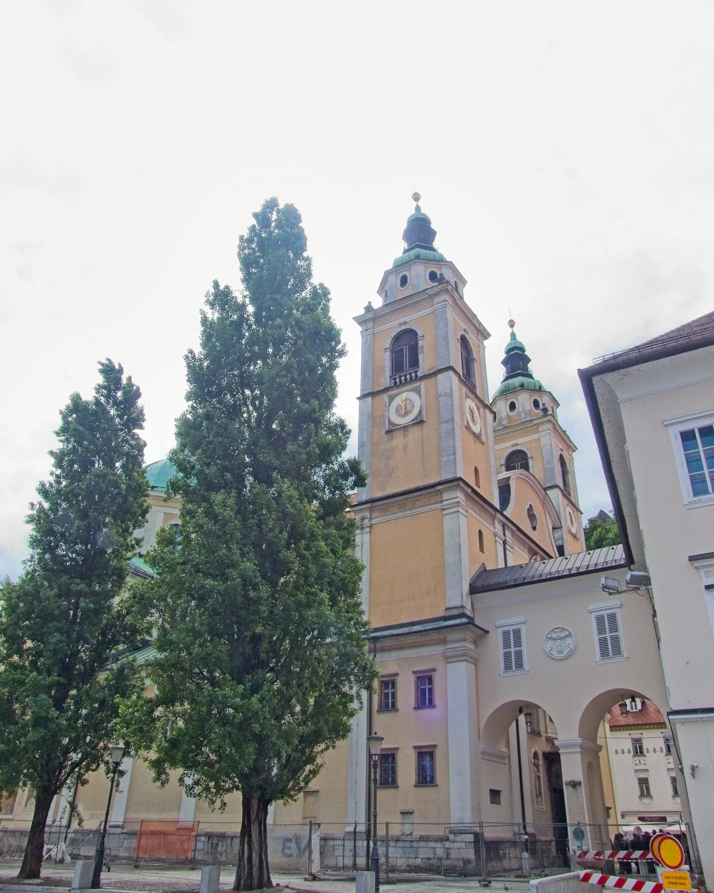 P1090939.jpg