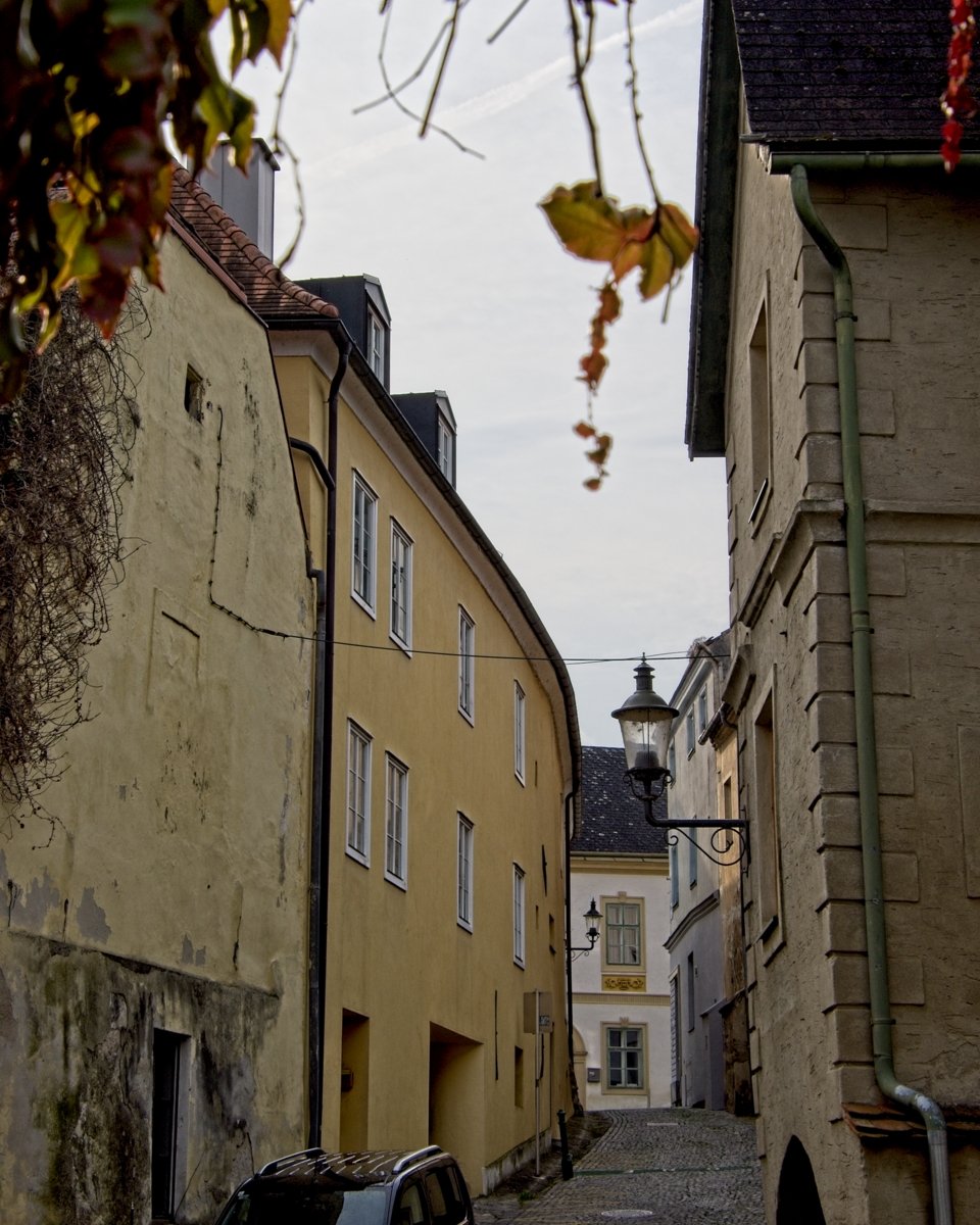 P9250546.jpg
