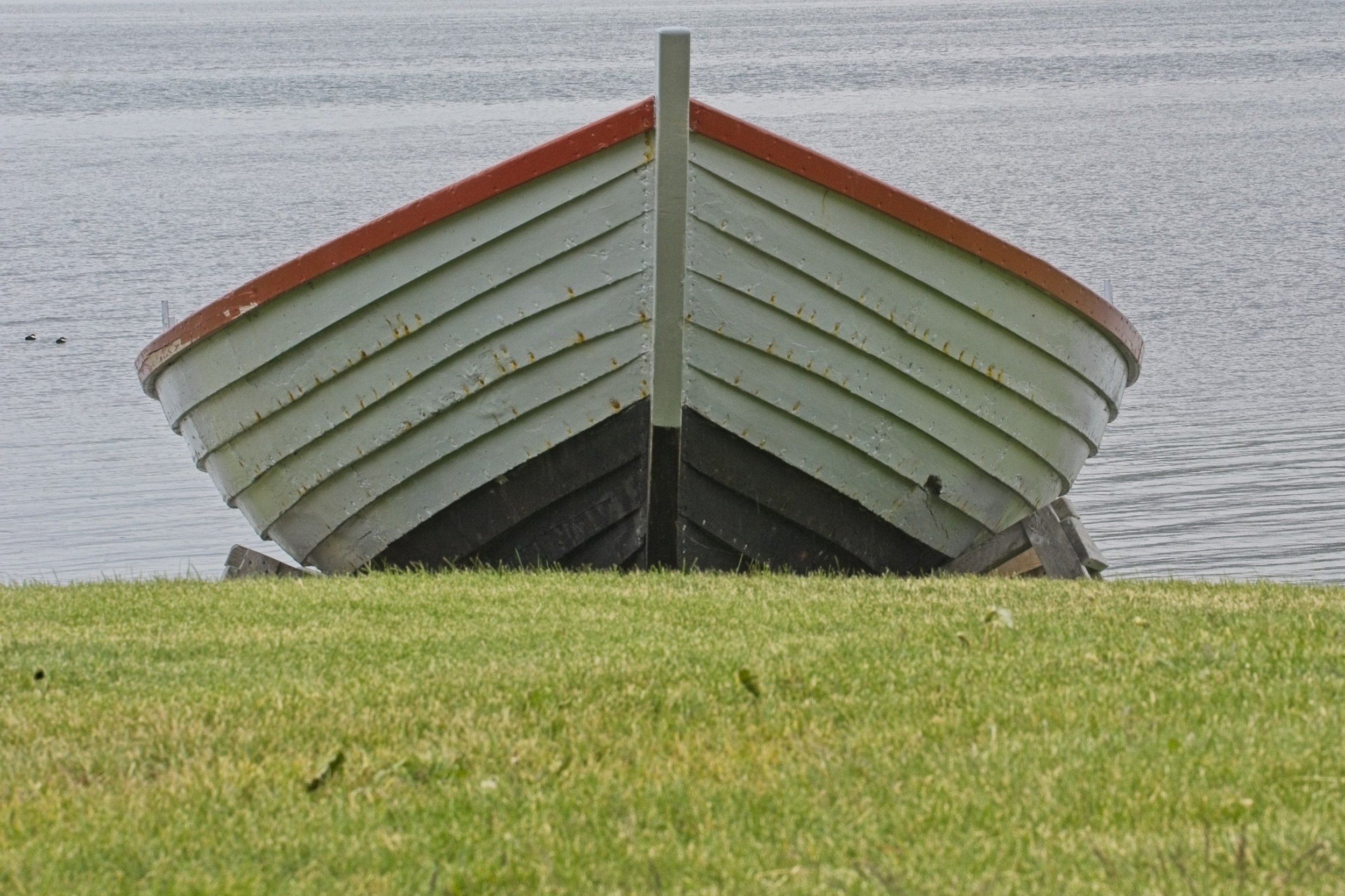 DSC_0421.jpg