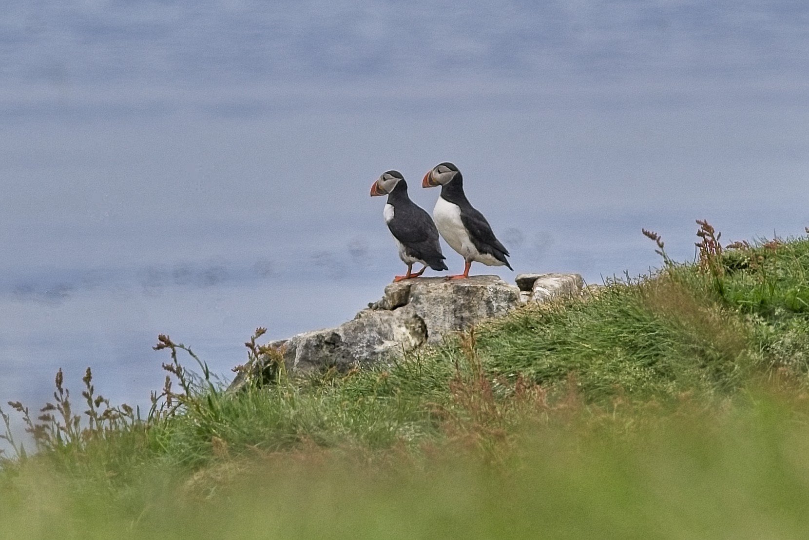 DSC_0277.jpg
