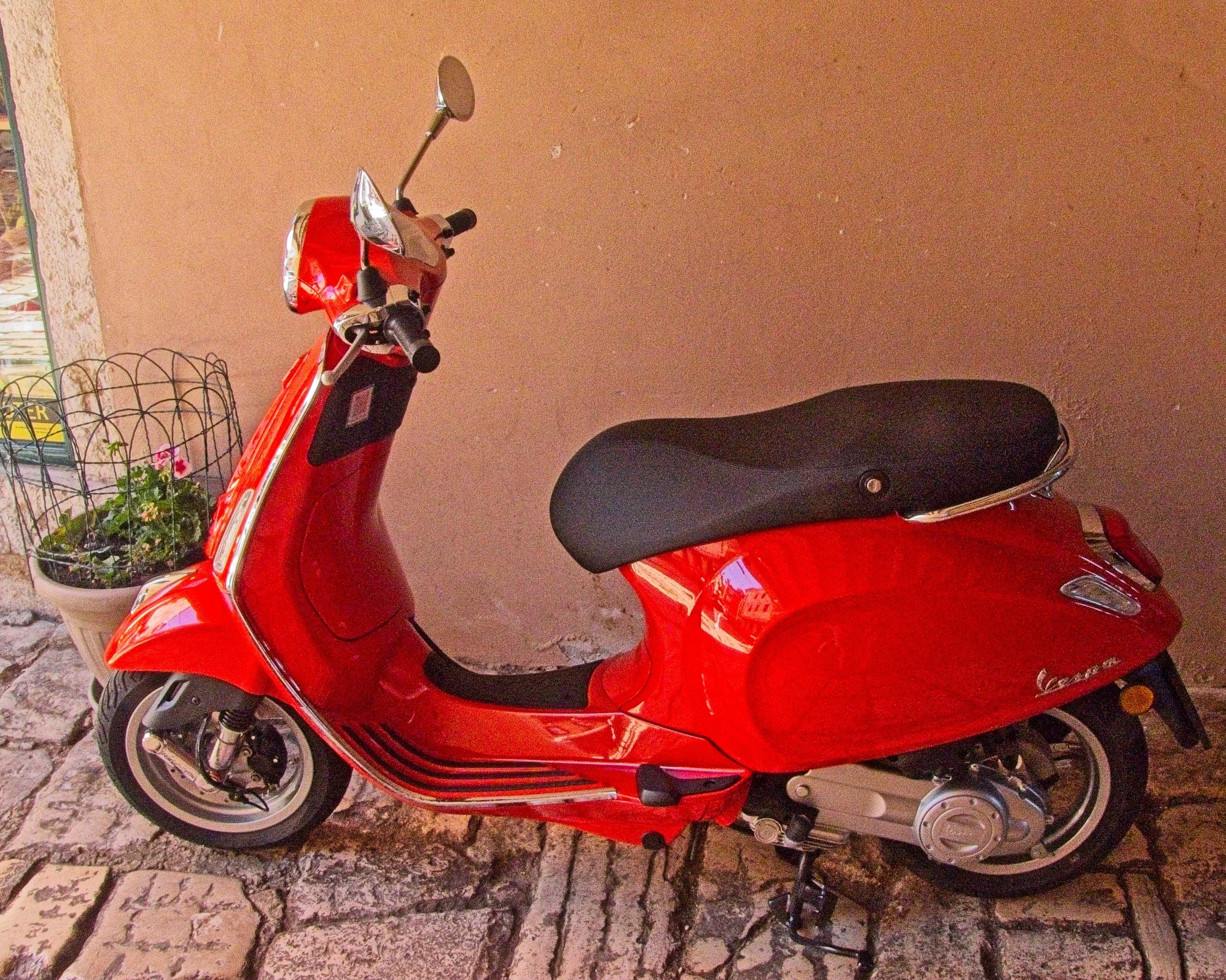 P1100383.jpg