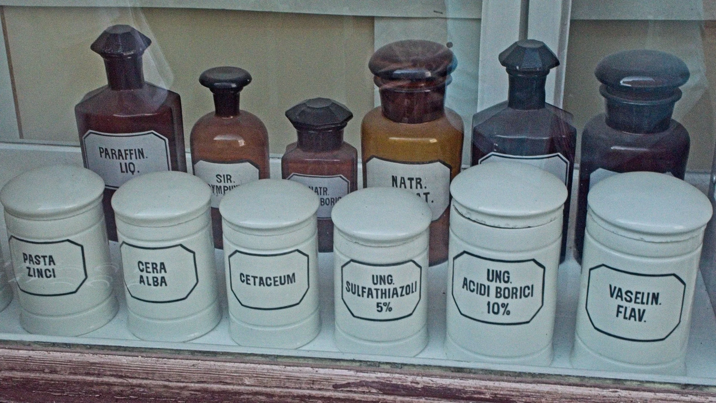 P9010046.jpg