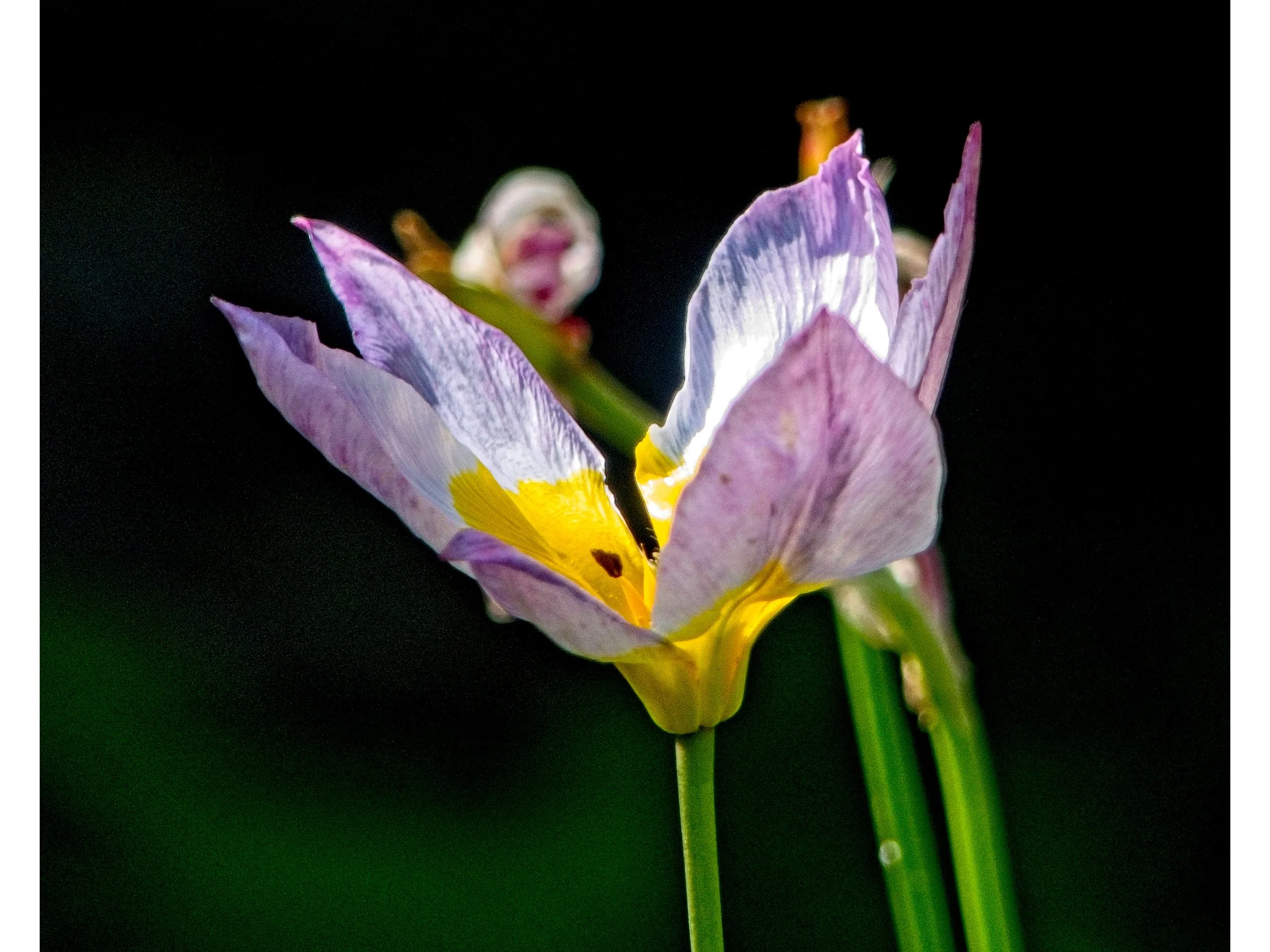 P1080080.jpg