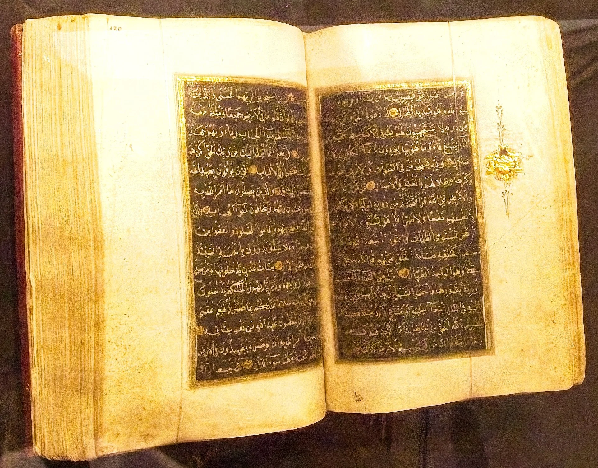 P1110184.jpg