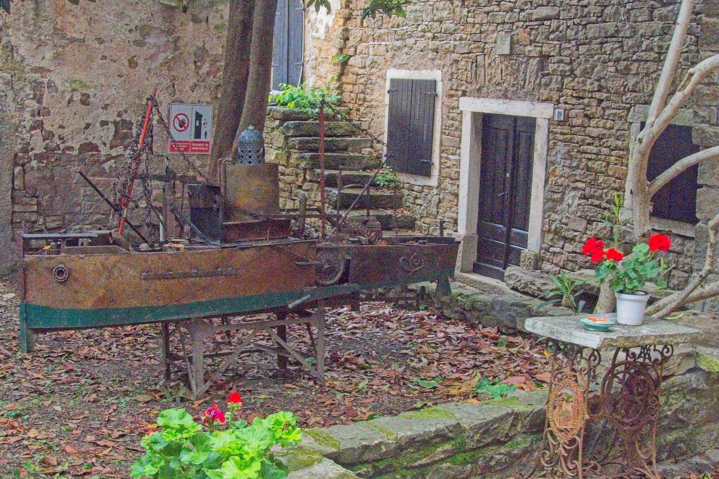 P1100138.jpg