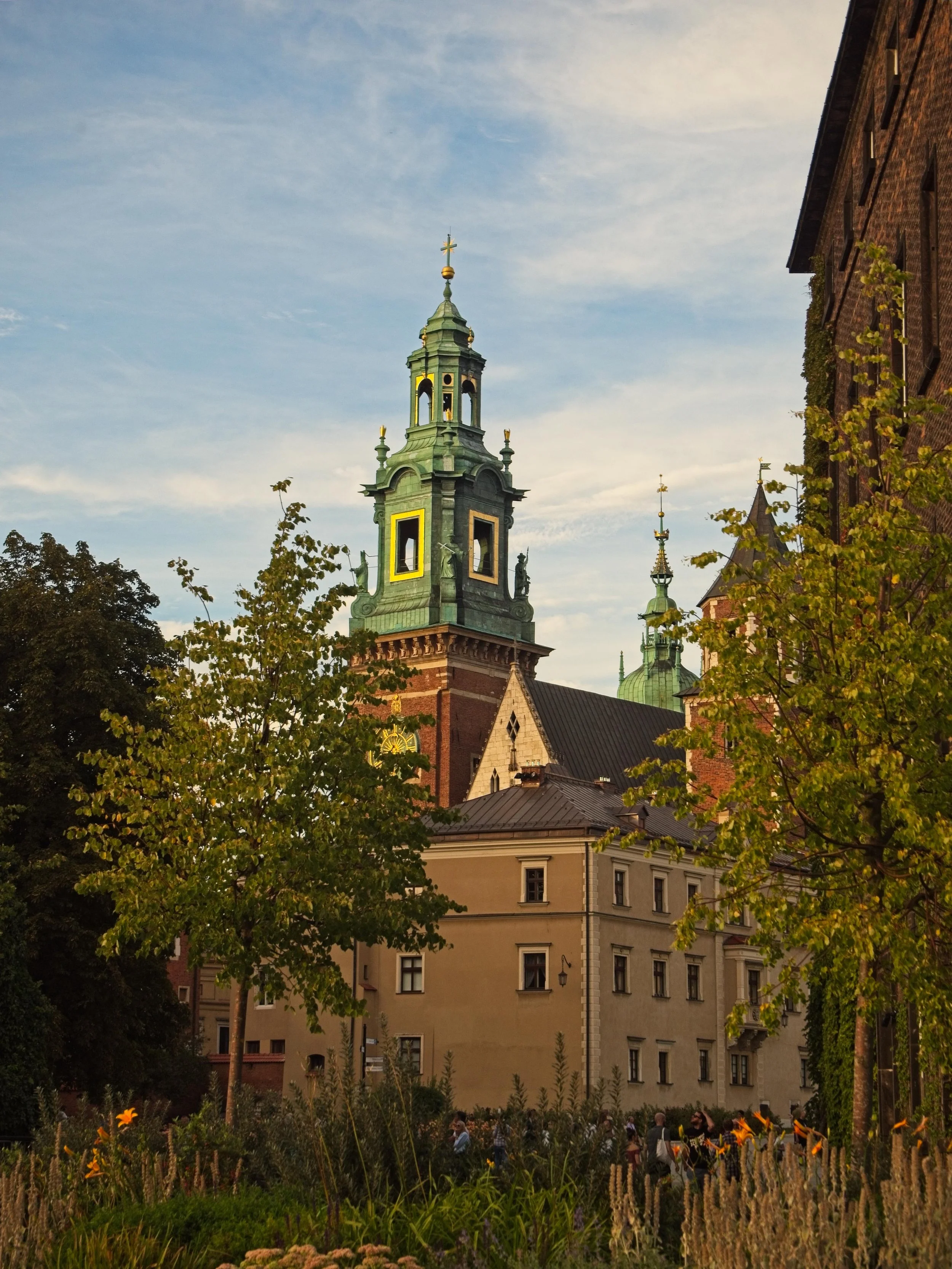 P9020185.jpg