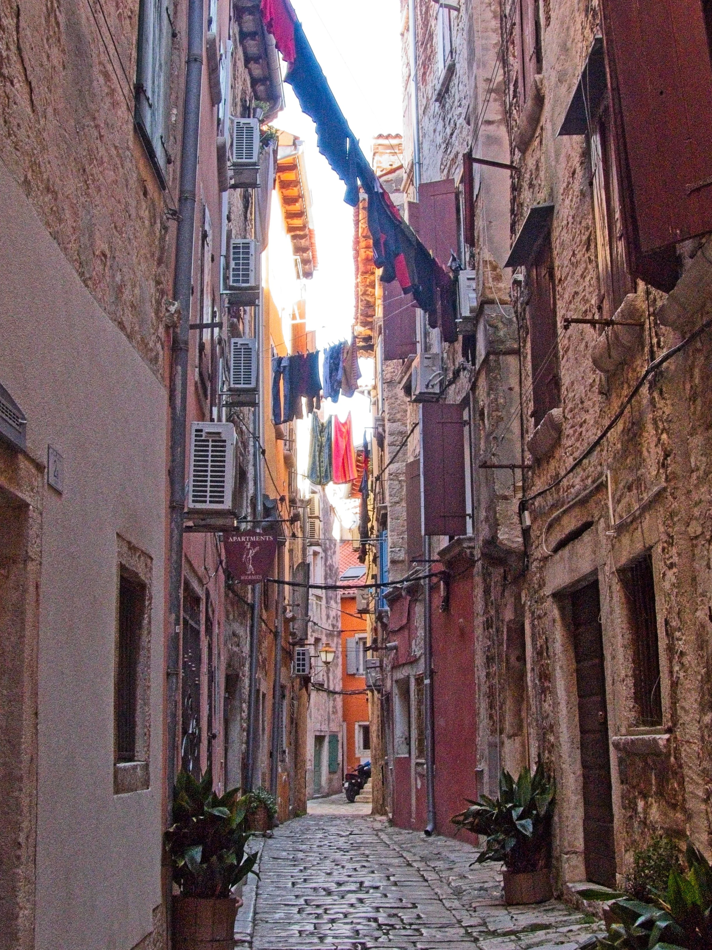 P1100381.jpg