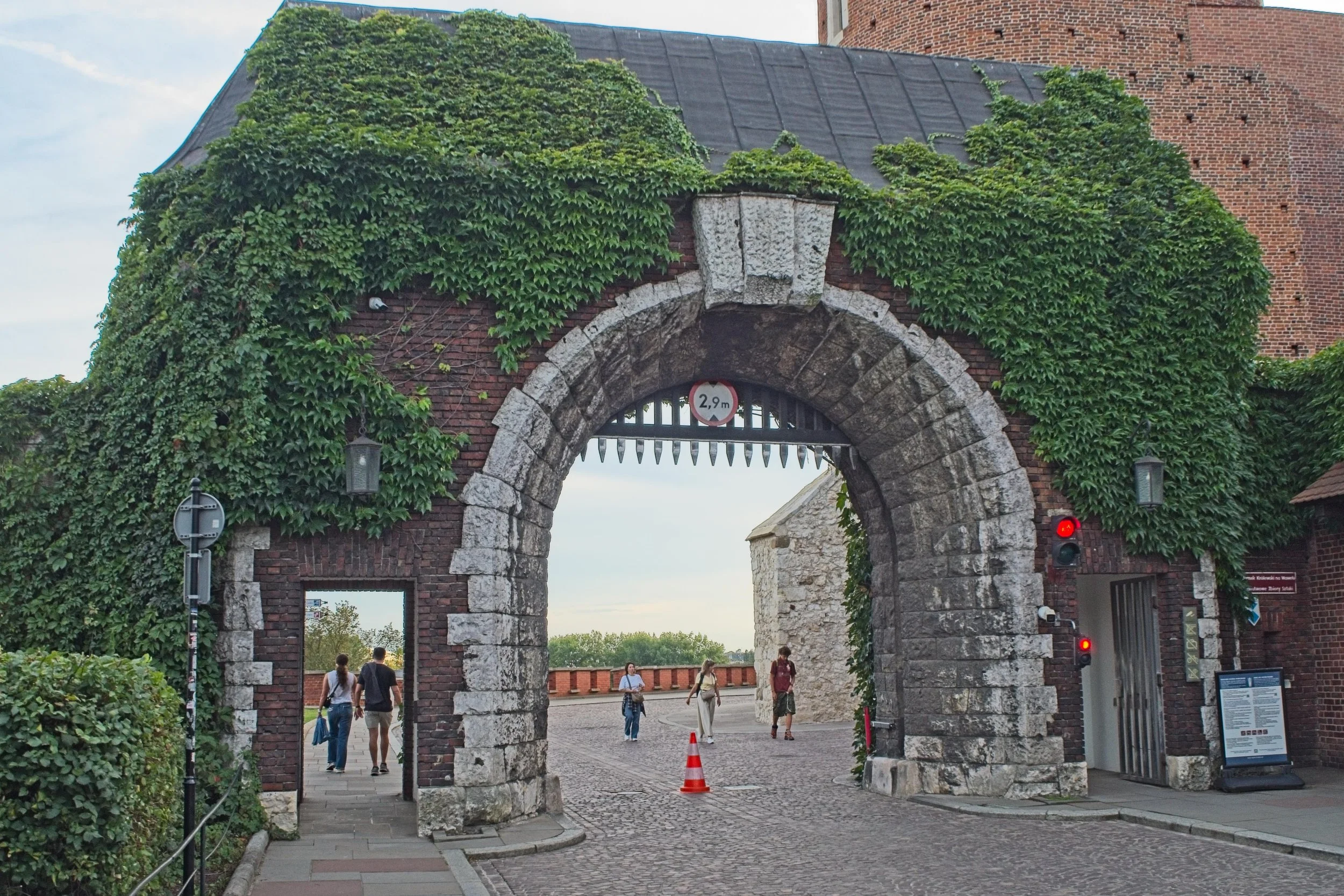 P9020176.jpg