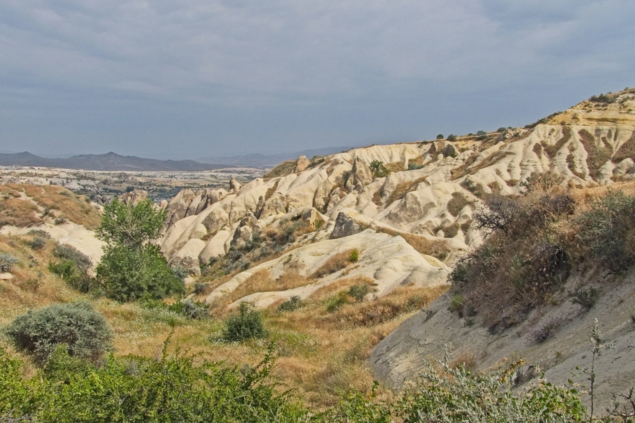 P1110414.jpg