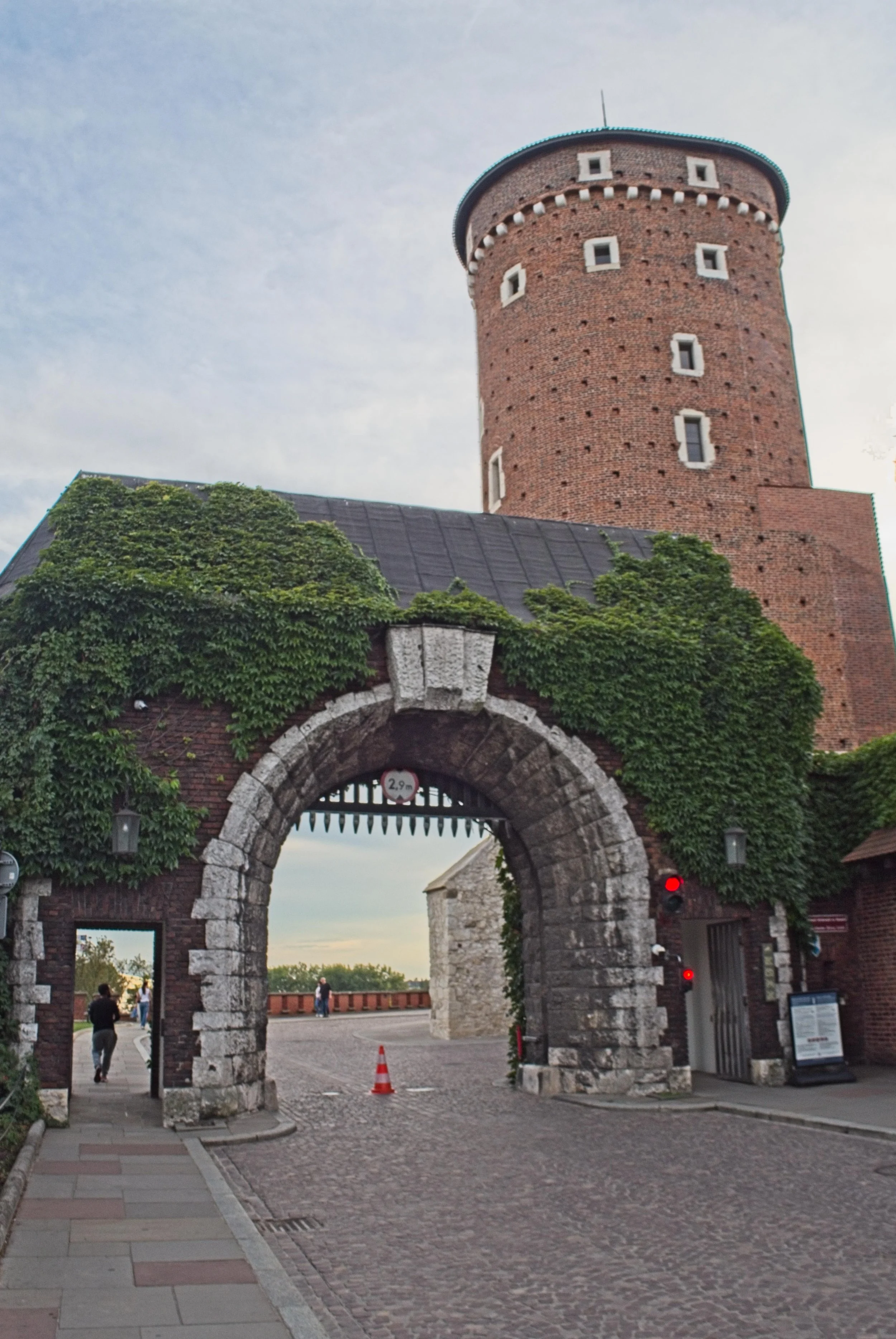 P9020177.jpg