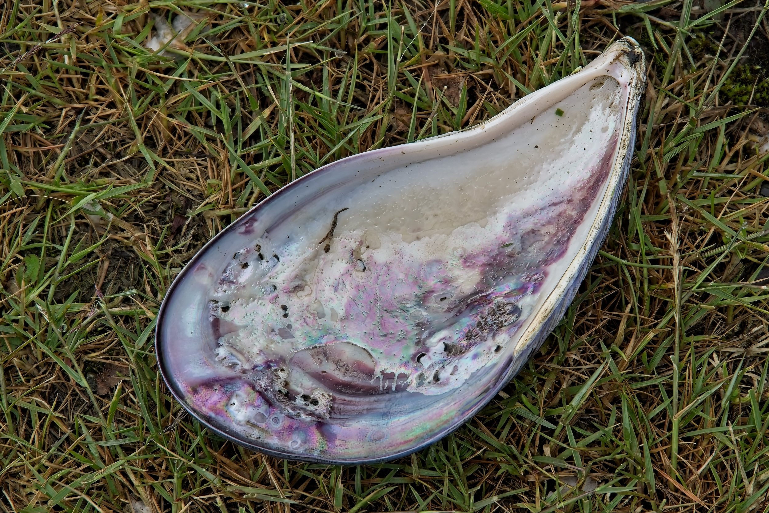 PC240390.jpg