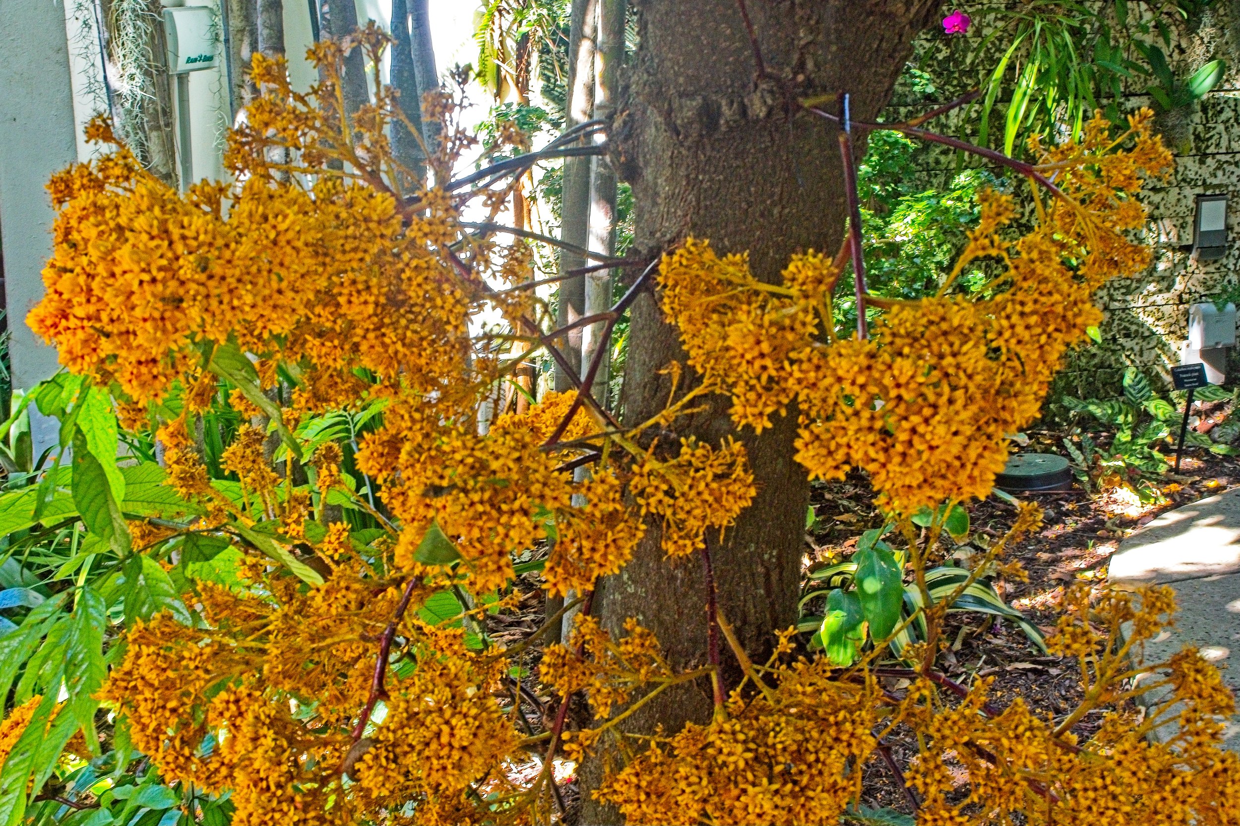 PC240213.jpg