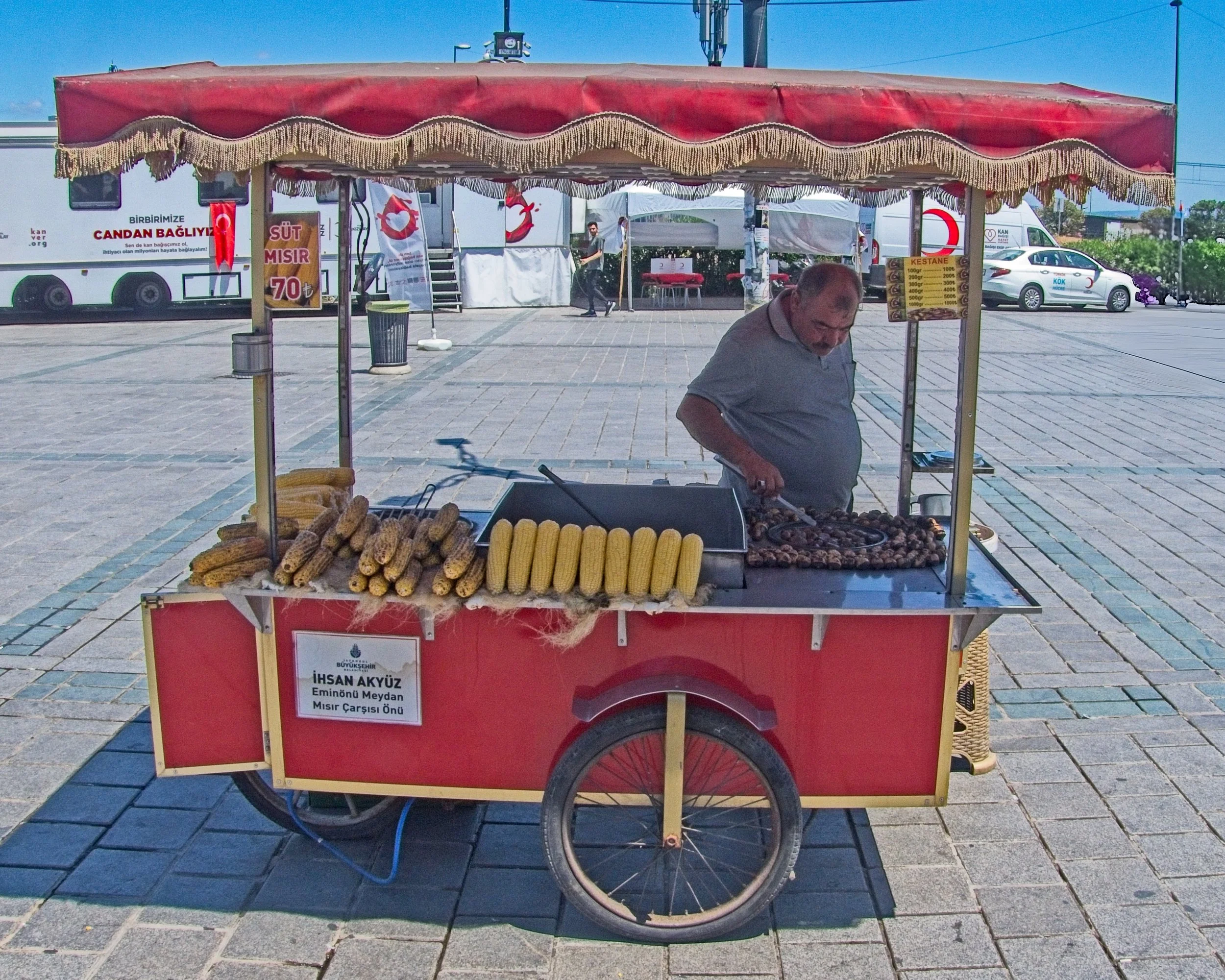 P1100575.jpg