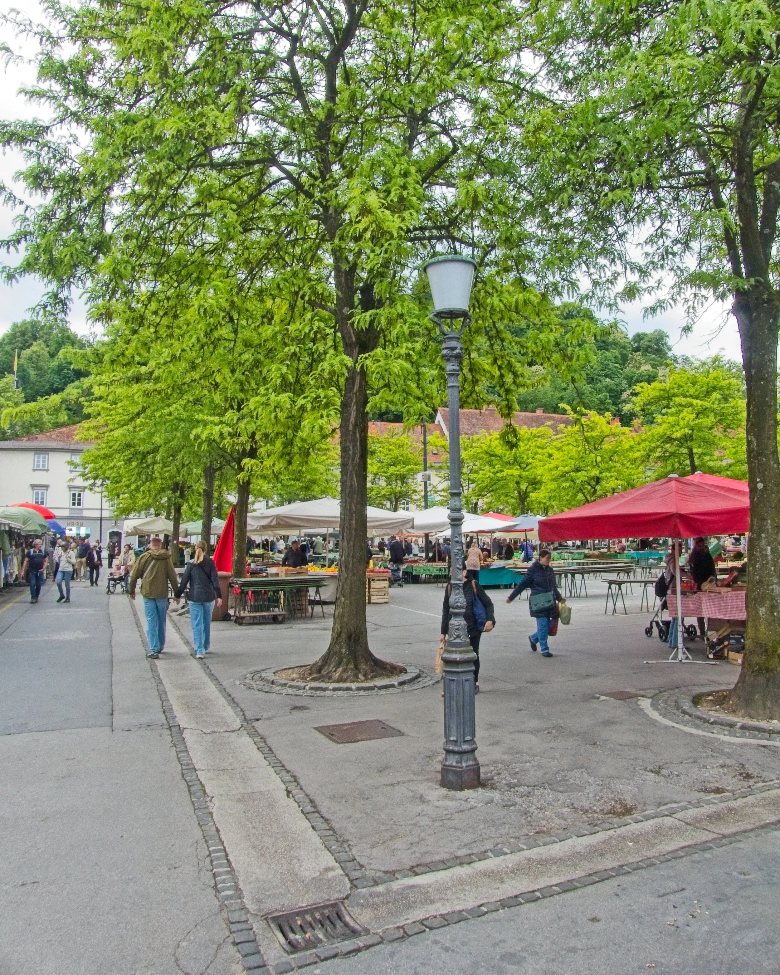 P1090946.jpg