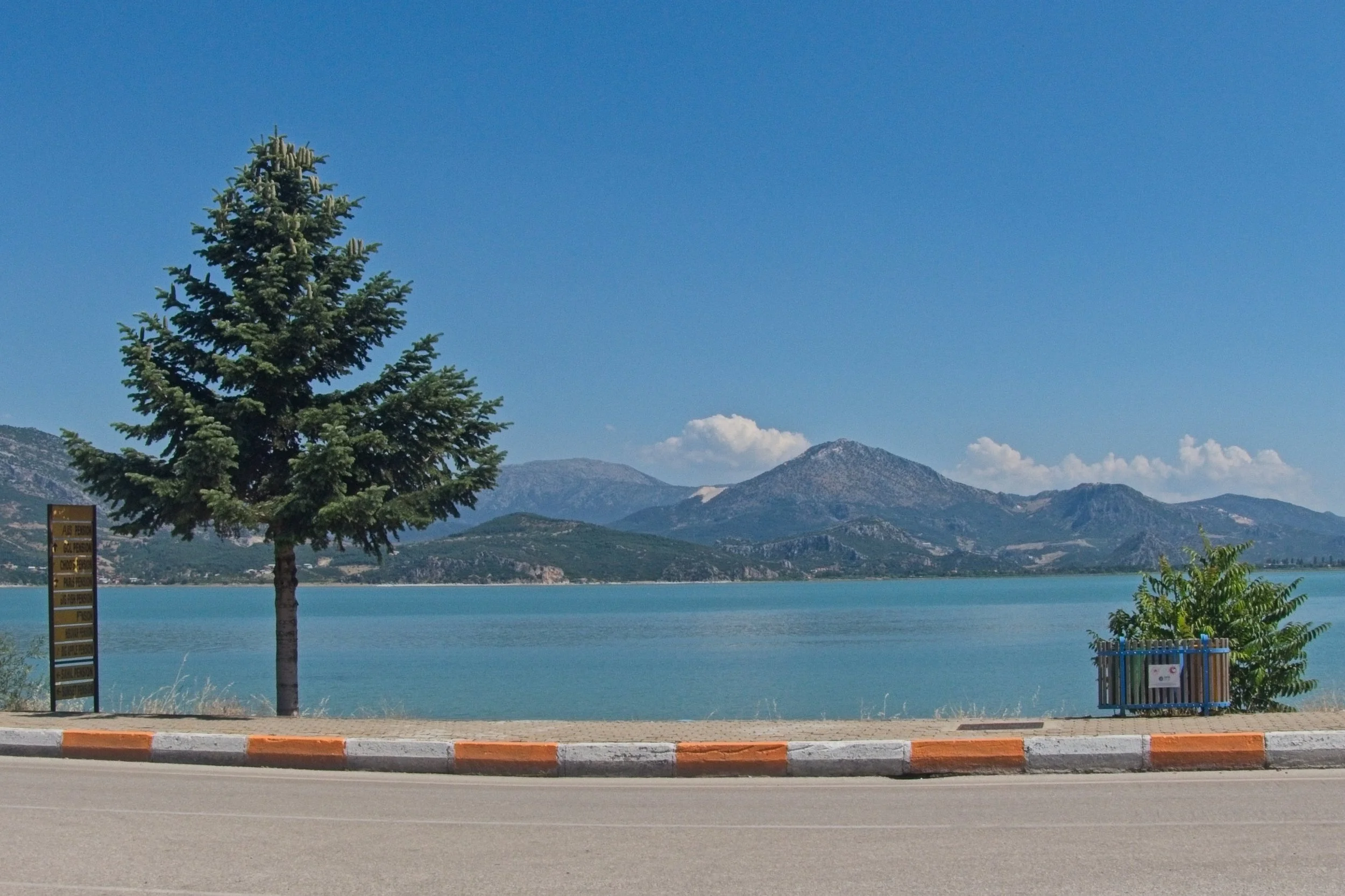 P1110139.jpg