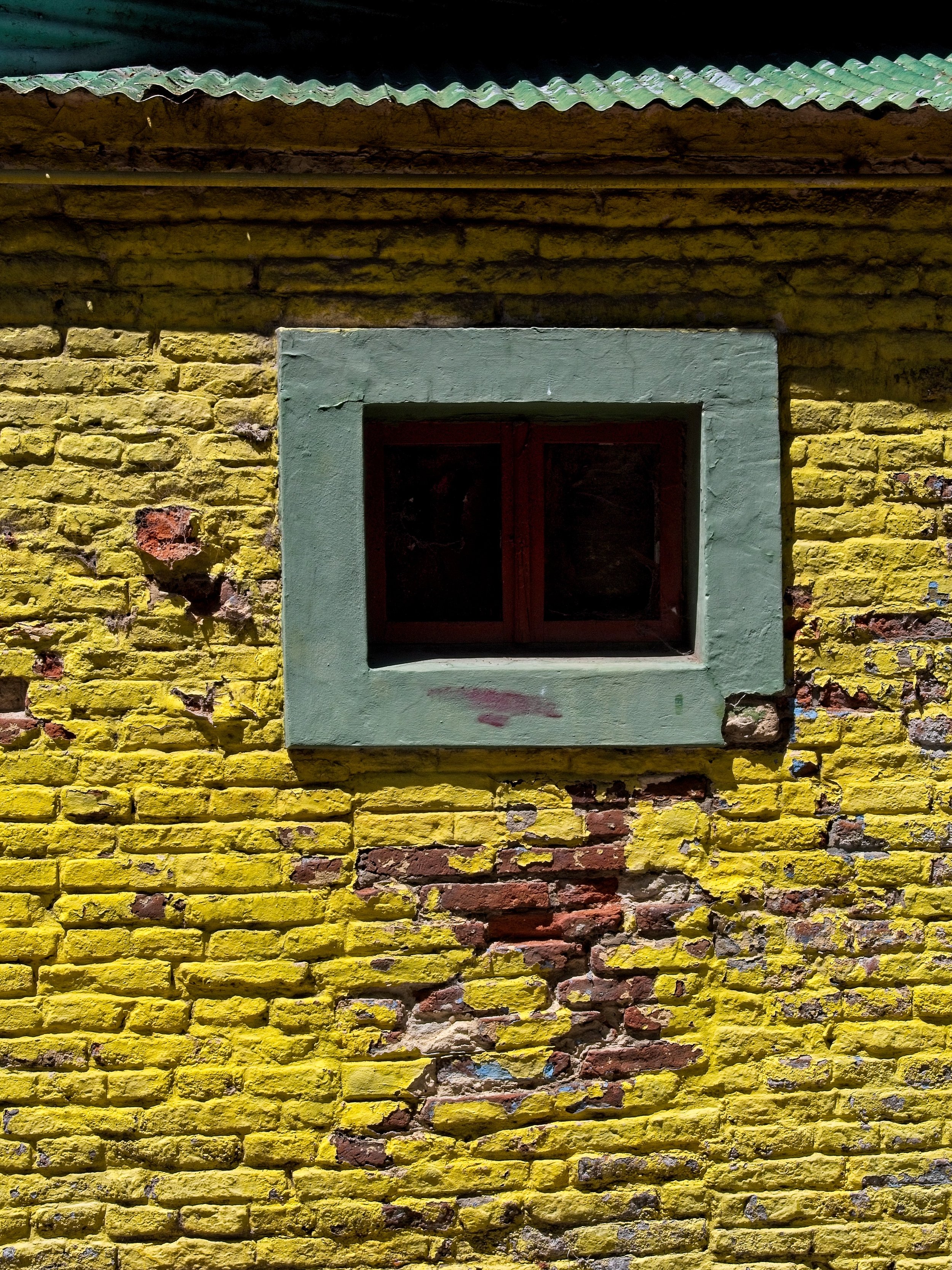 P1103635.jpg